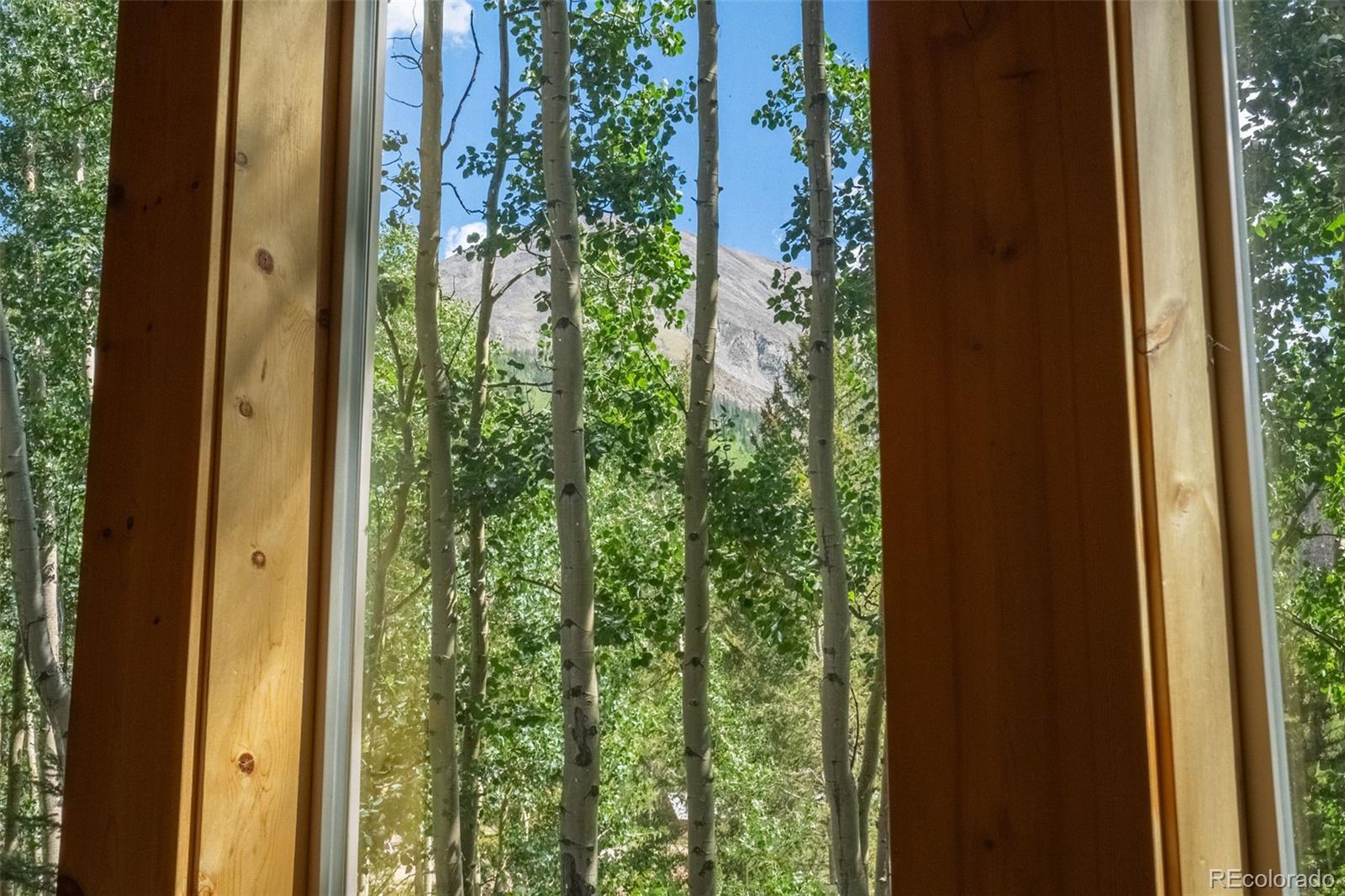 MLS Image #28 for 25879  county road 162e ,nathrop, Colorado