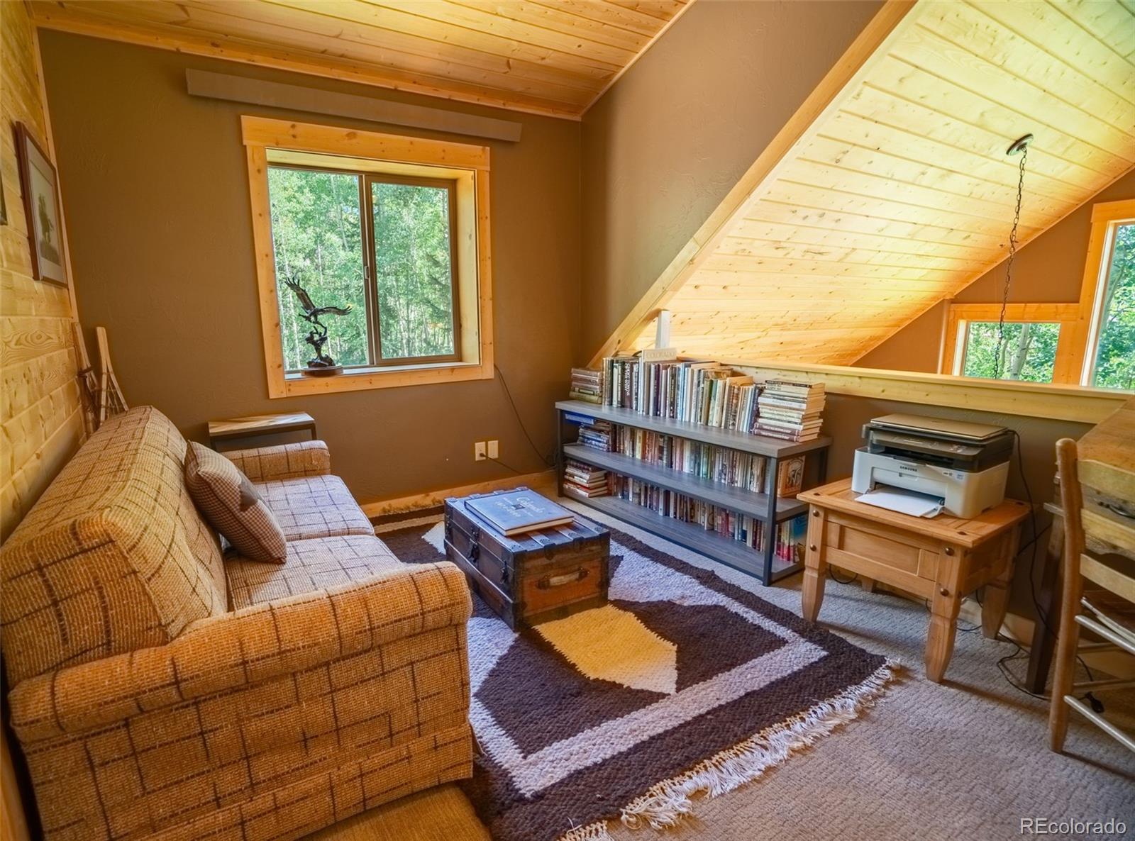 MLS Image #6 for 25879  county road 162e ,nathrop, Colorado