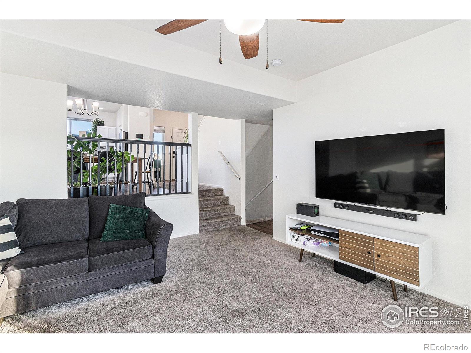 MLS Image #10 for 985  axis drive,severance, Colorado