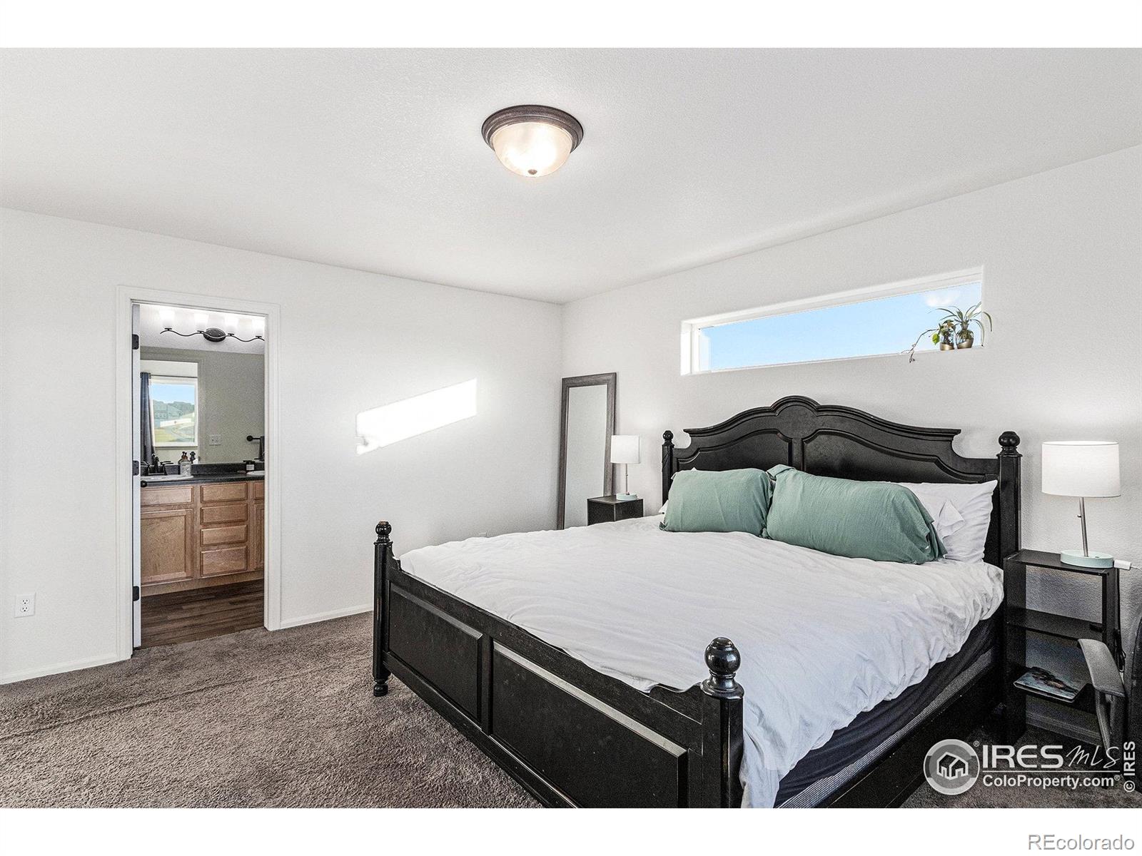 MLS Image #15 for 985  axis drive,severance, Colorado