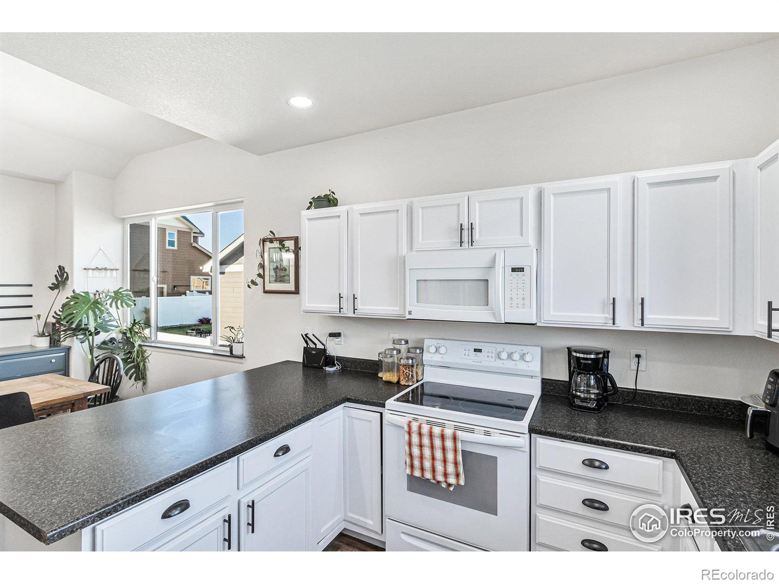 MLS Image #5 for 985  axis drive,severance, Colorado