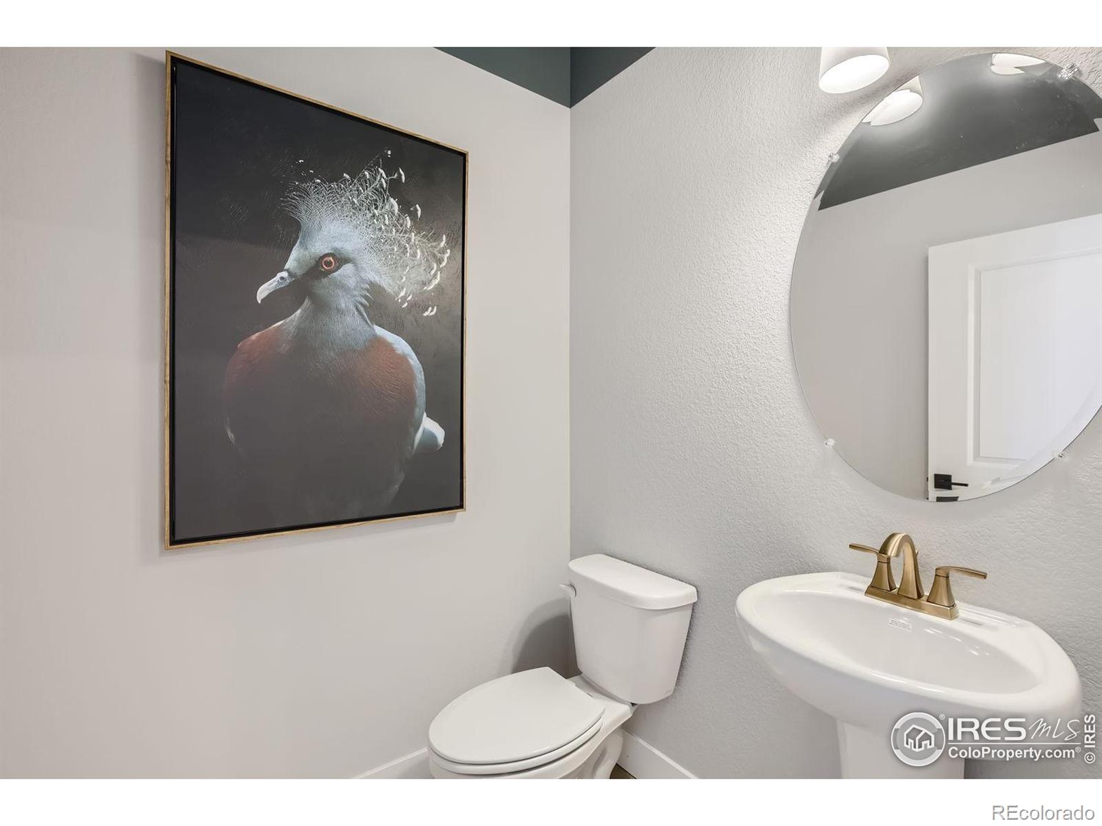MLS Image #9 for 2759  bear springs circle,longmont, Colorado