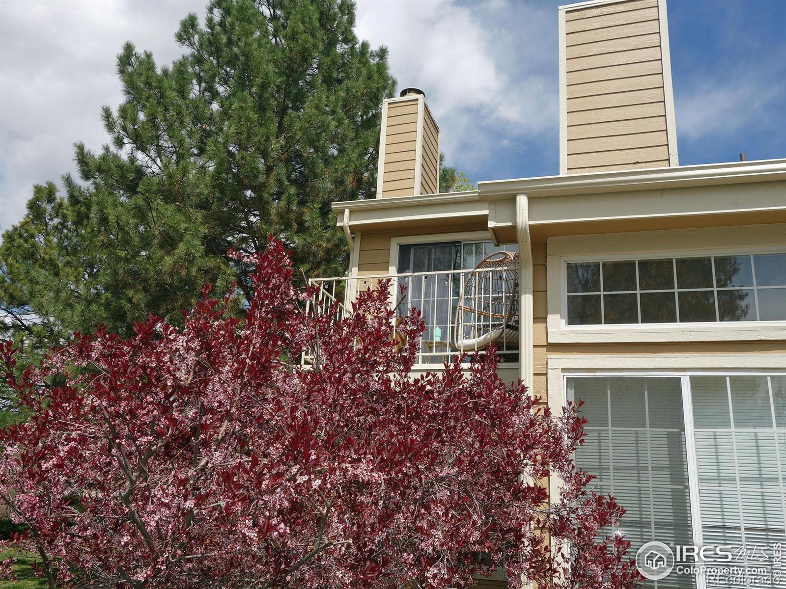 MLS Image #5 for 6036  gunbarrel avenue,boulder, Colorado