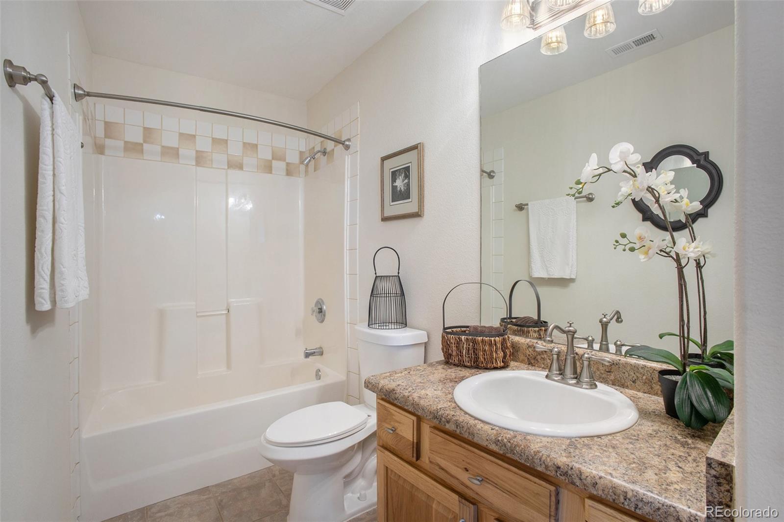 MLS Image #19 for 18599  soapstone view,fountain, Colorado