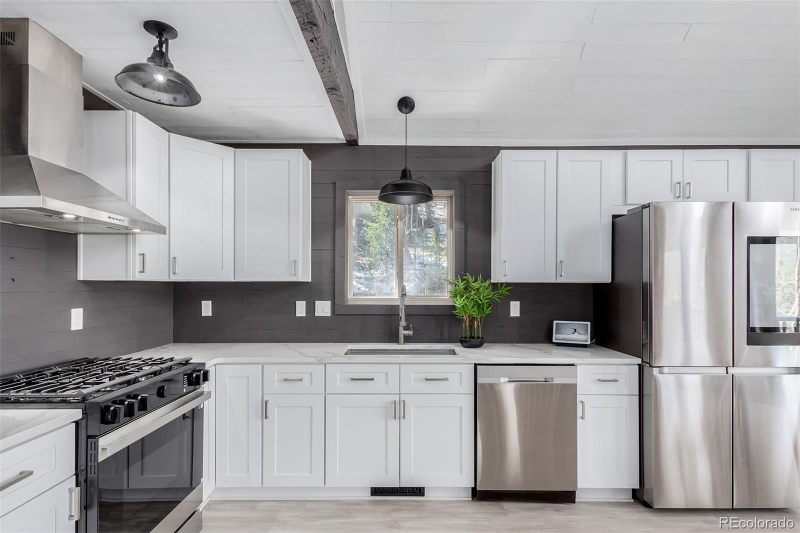 MLS Image #13 for 302  lakeview road,bailey, Colorado