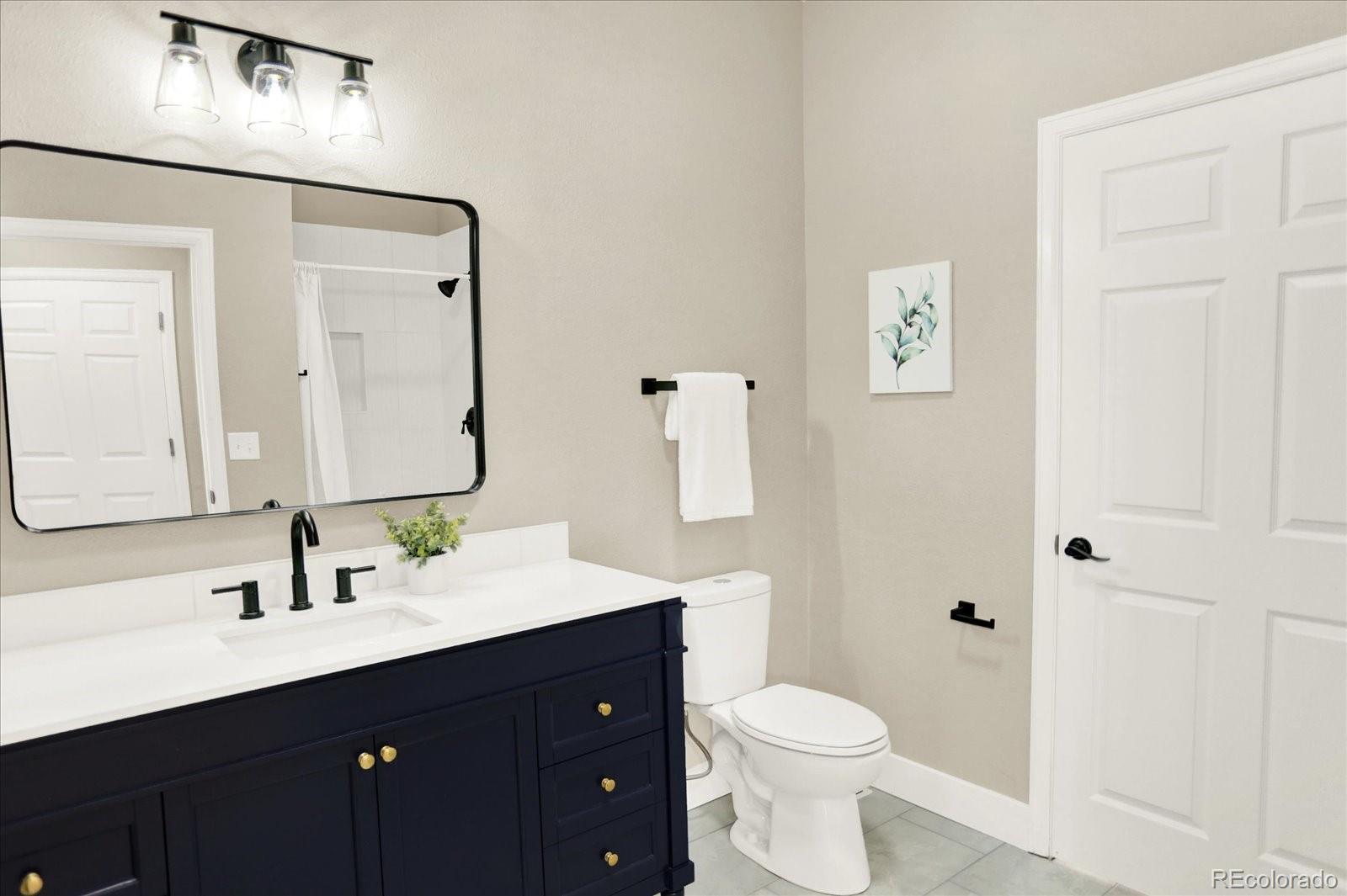 MLS Image #14 for 9885  thornbury way,highlands ranch, Colorado