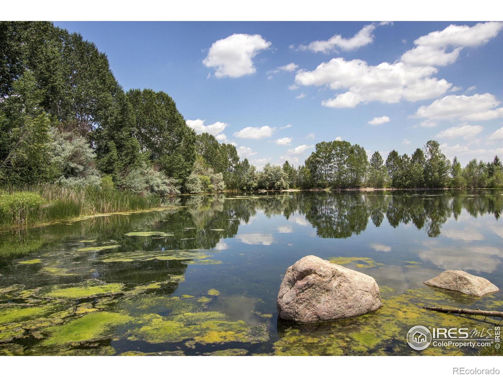 MLS Image #27 for 2832  william neal parkway,fort collins, Colorado