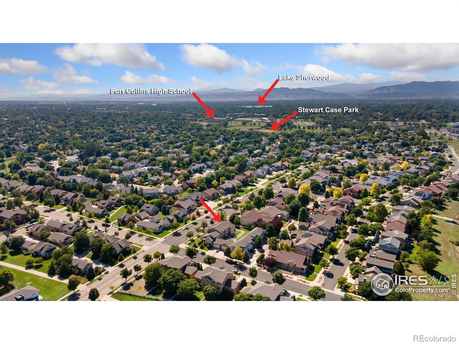 MLS Image #29 for 2832  william neal parkway,fort collins, Colorado
