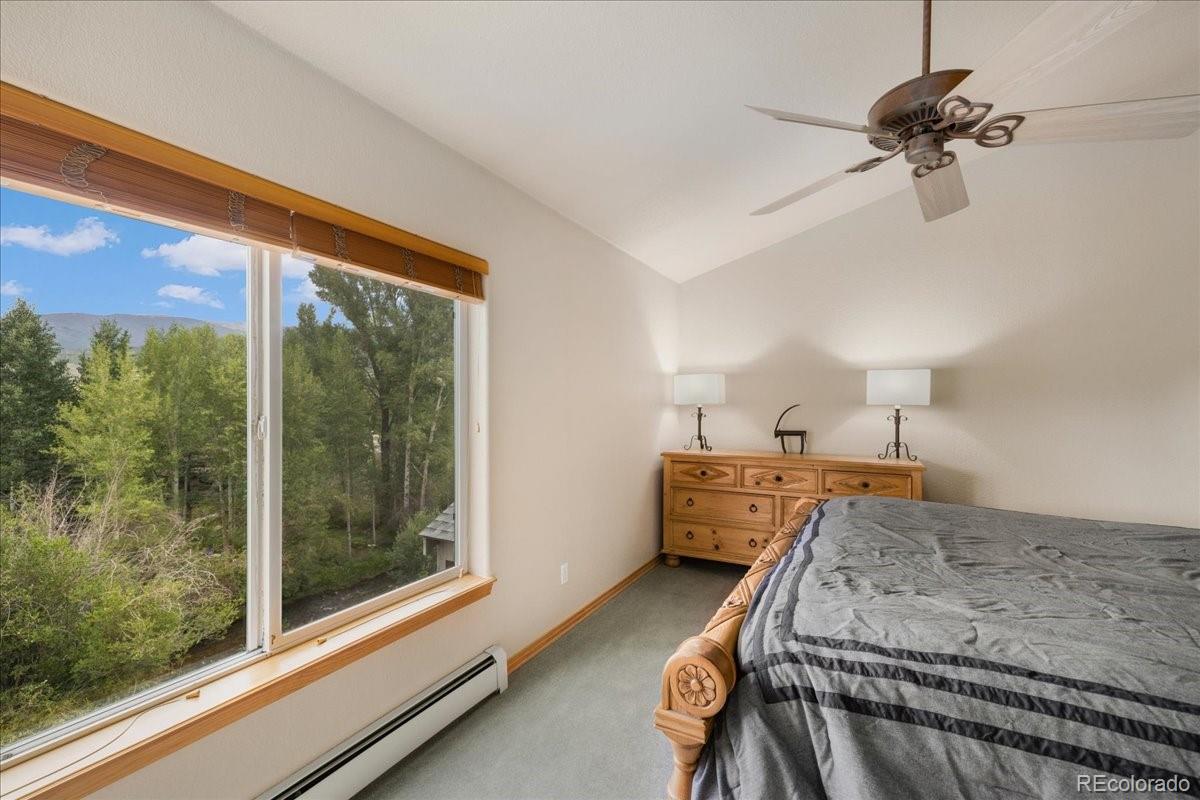 MLS Image #10 for 109  creek lane,silverthorne, Colorado