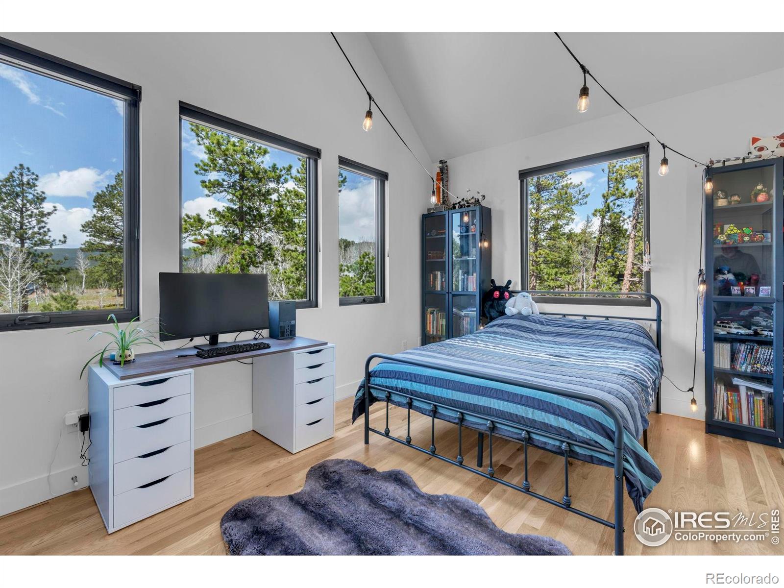 MLS Image #21 for 11  juneau circle,nederland, Colorado