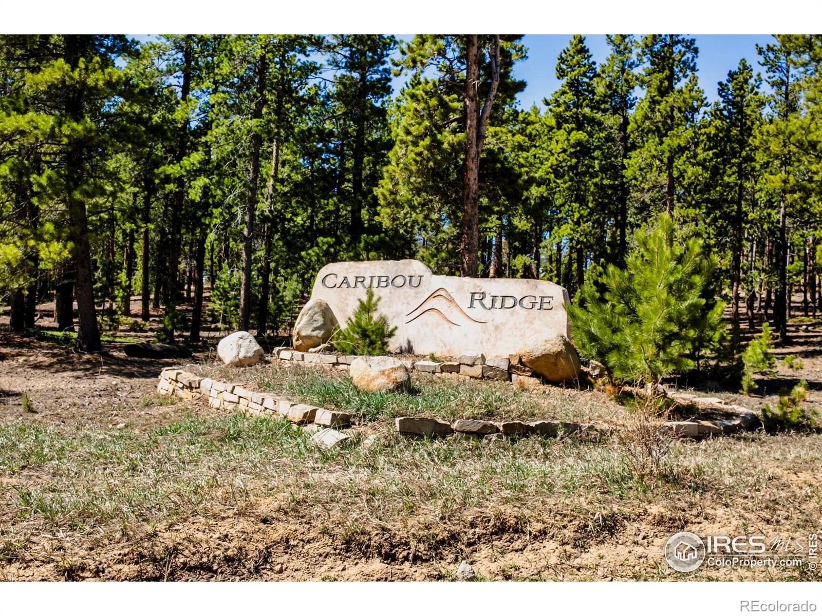 MLS Image #31 for 11  juneau circle,nederland, Colorado
