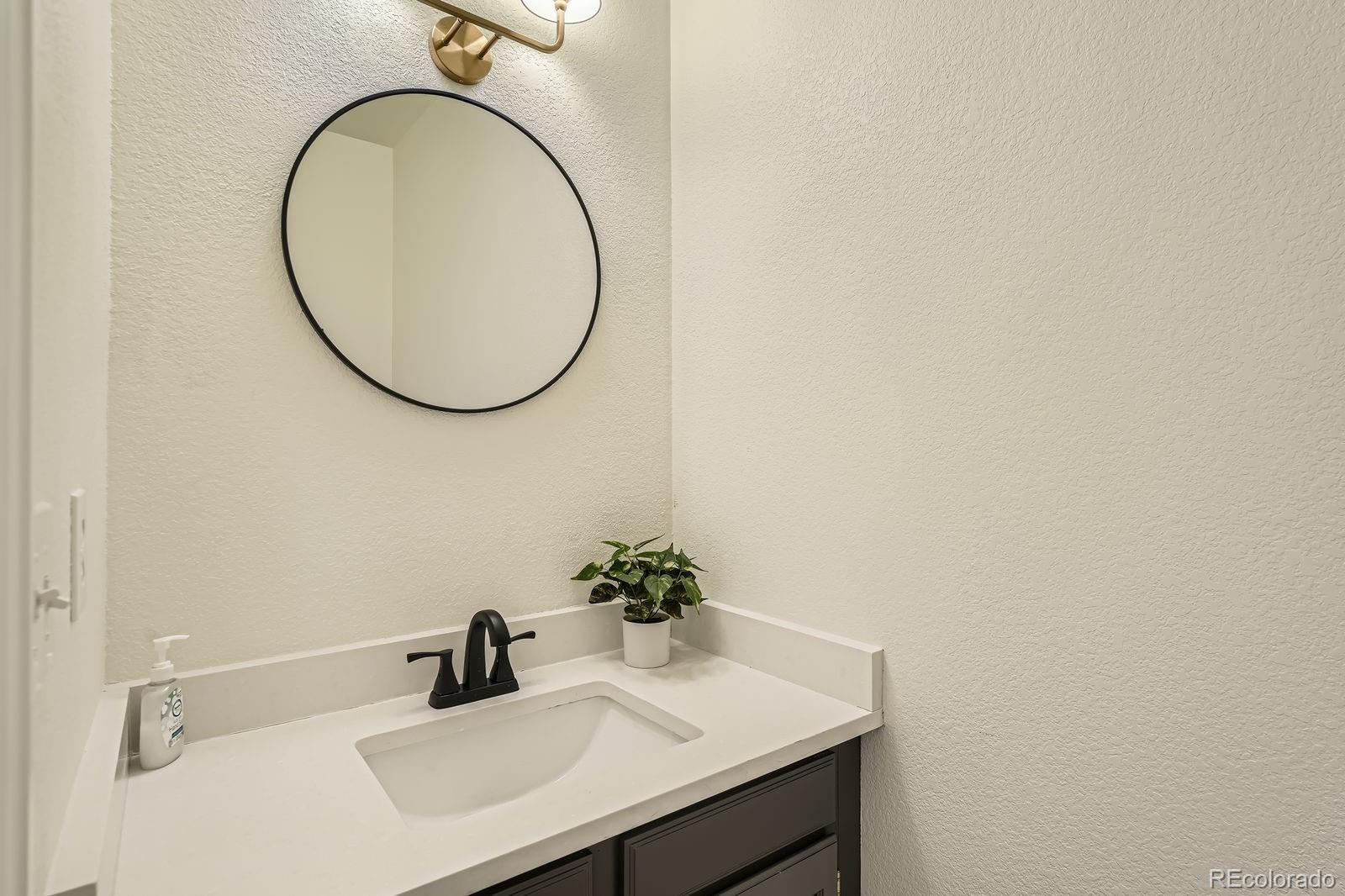 MLS Image #10 for 3549  mallard drive,highlands ranch, Colorado