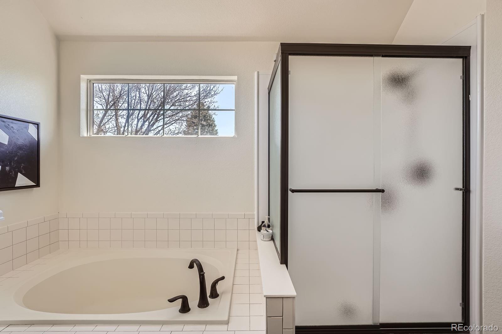 MLS Image #13 for 3549  mallard drive,highlands ranch, Colorado