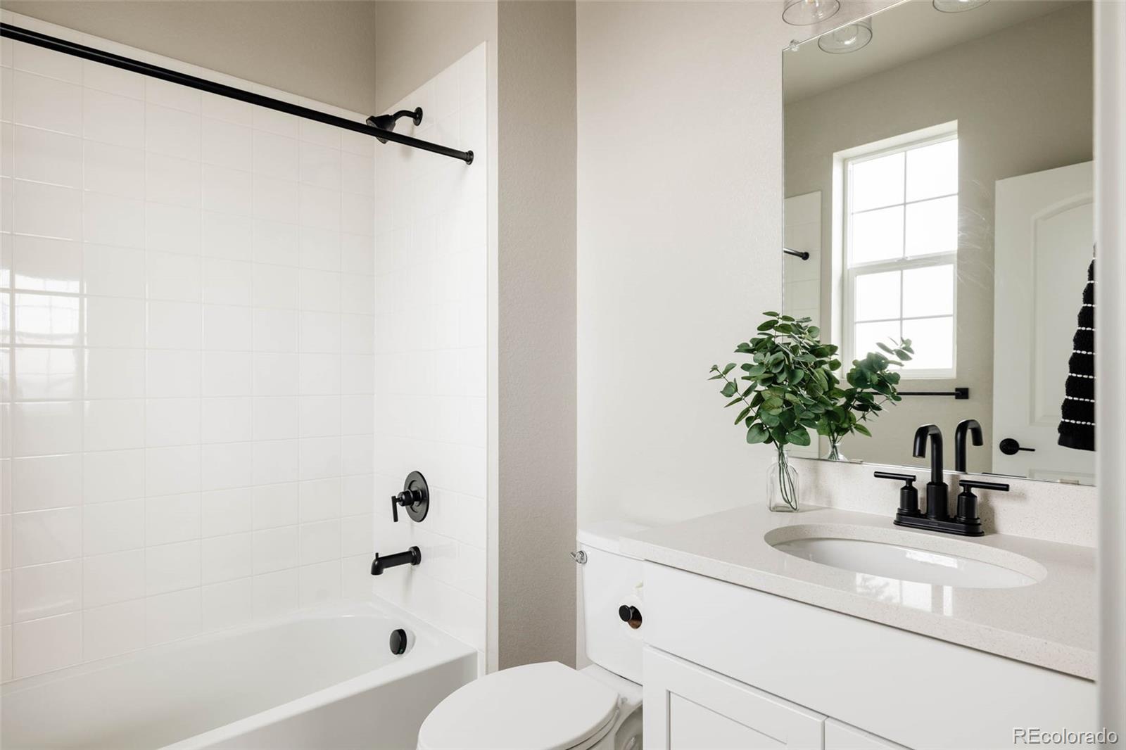 MLS Image #25 for 6303  elmira street,denver, Colorado