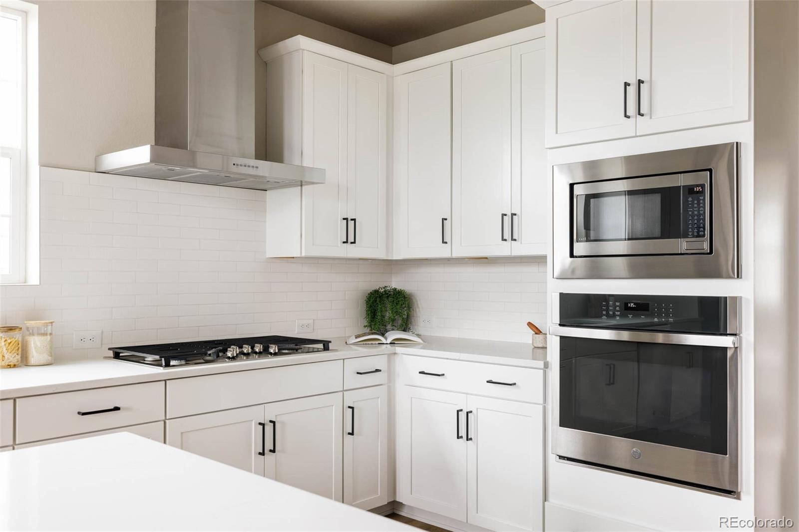 MLS Image #9 for 6303  elmira street,denver, Colorado