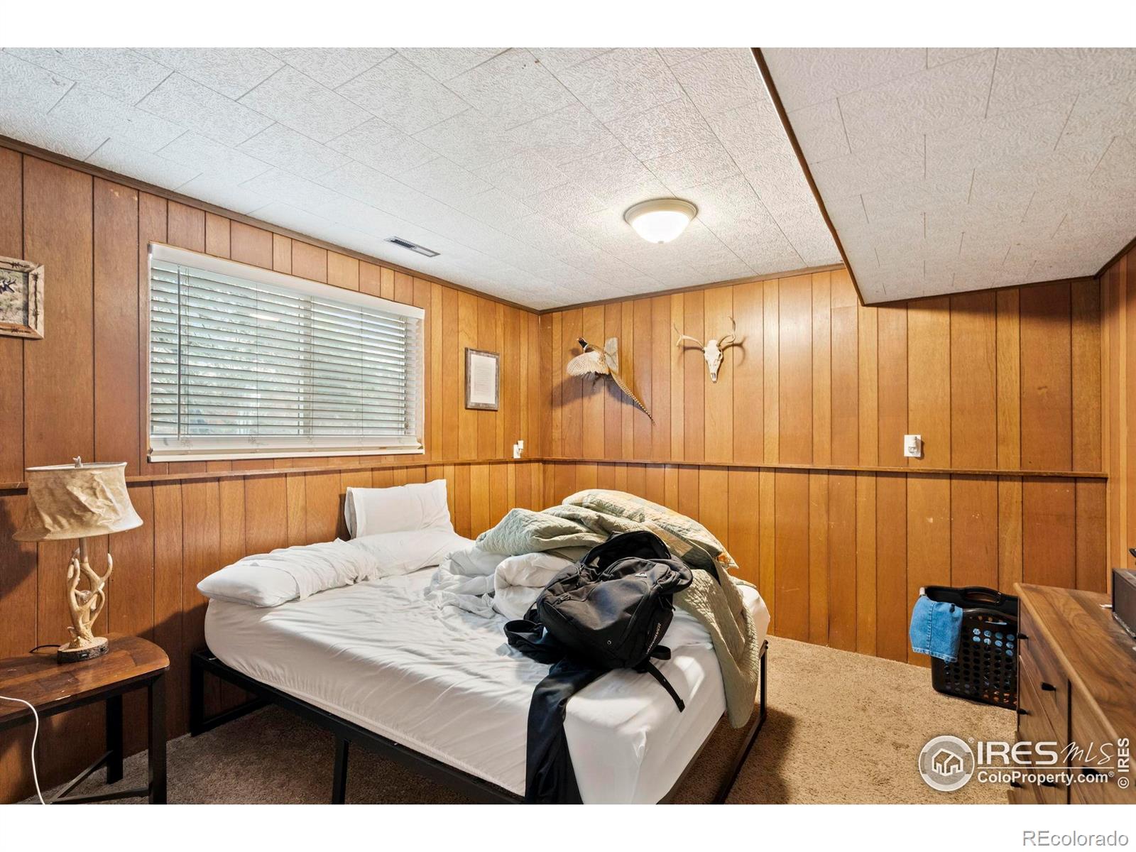 MLS Image #23 for 1972  dorset drive,fort collins, Colorado