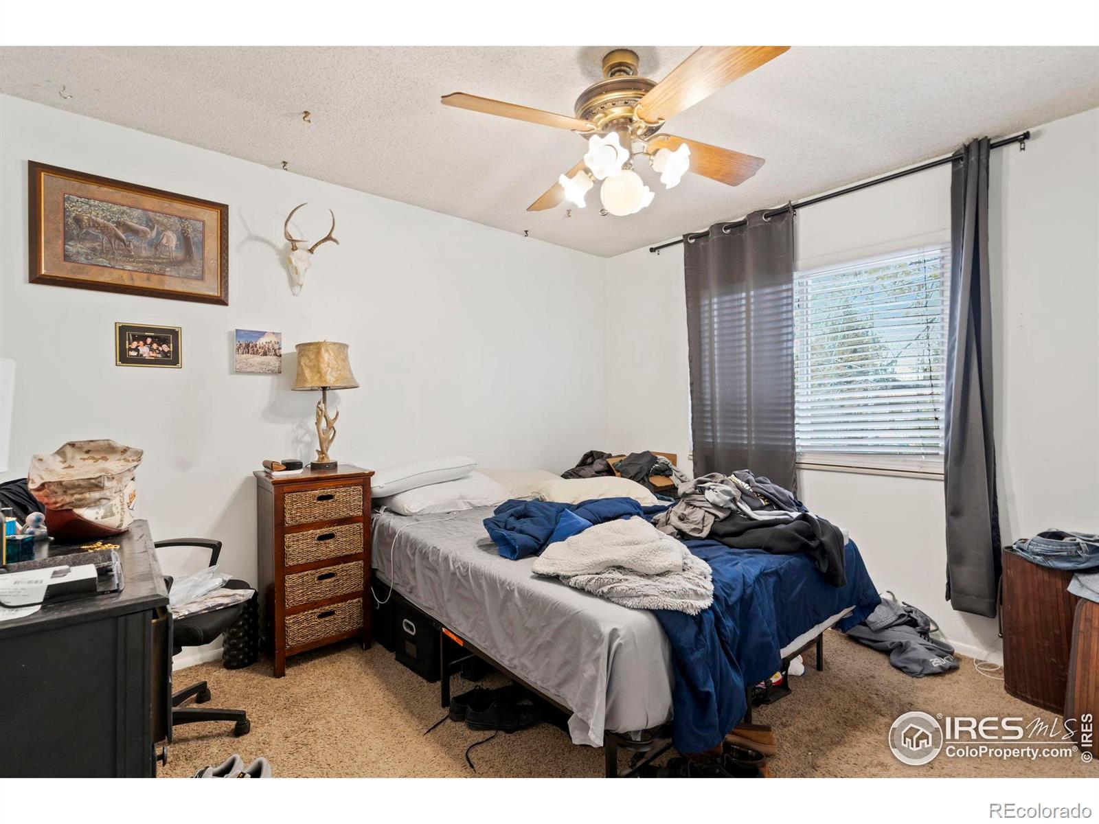 MLS Image #25 for 1972  dorset drive,fort collins, Colorado