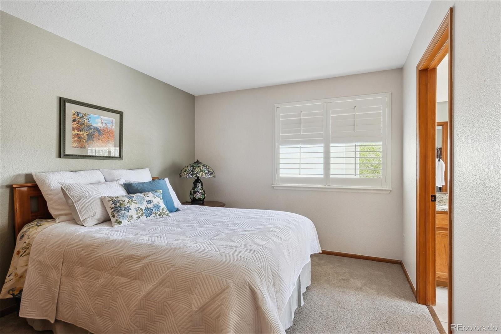 MLS Image #22 for 6836  edgewood way,highlands ranch, Colorado