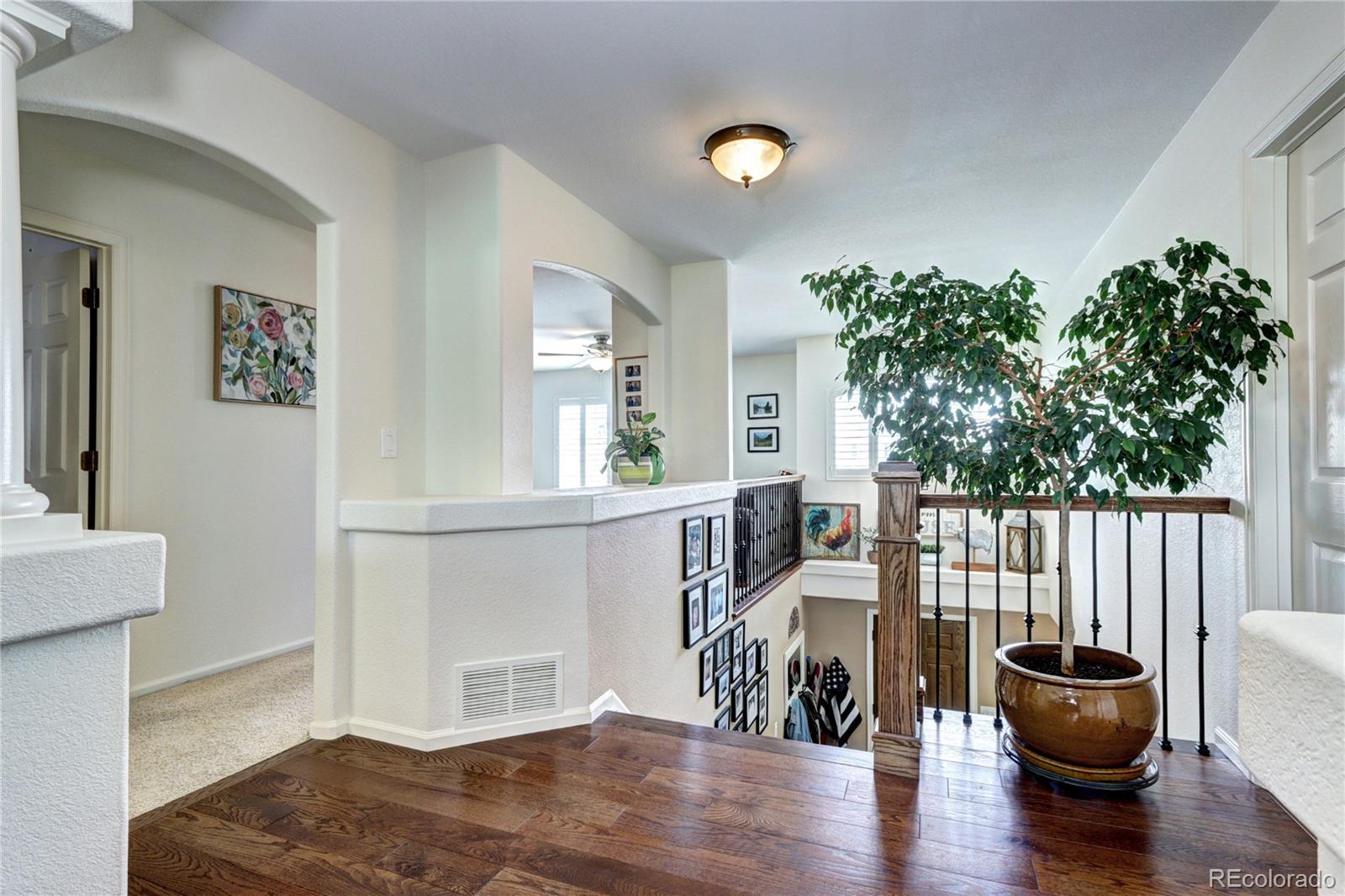 MLS Image #19 for 4907  fenwood drive,highlands ranch, Colorado