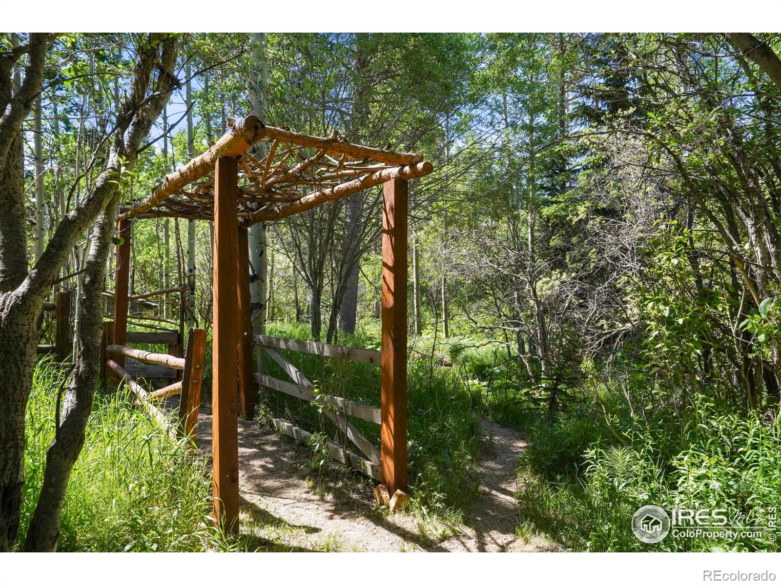 MLS Image #1 for 1410  caribou road,nederland, Colorado