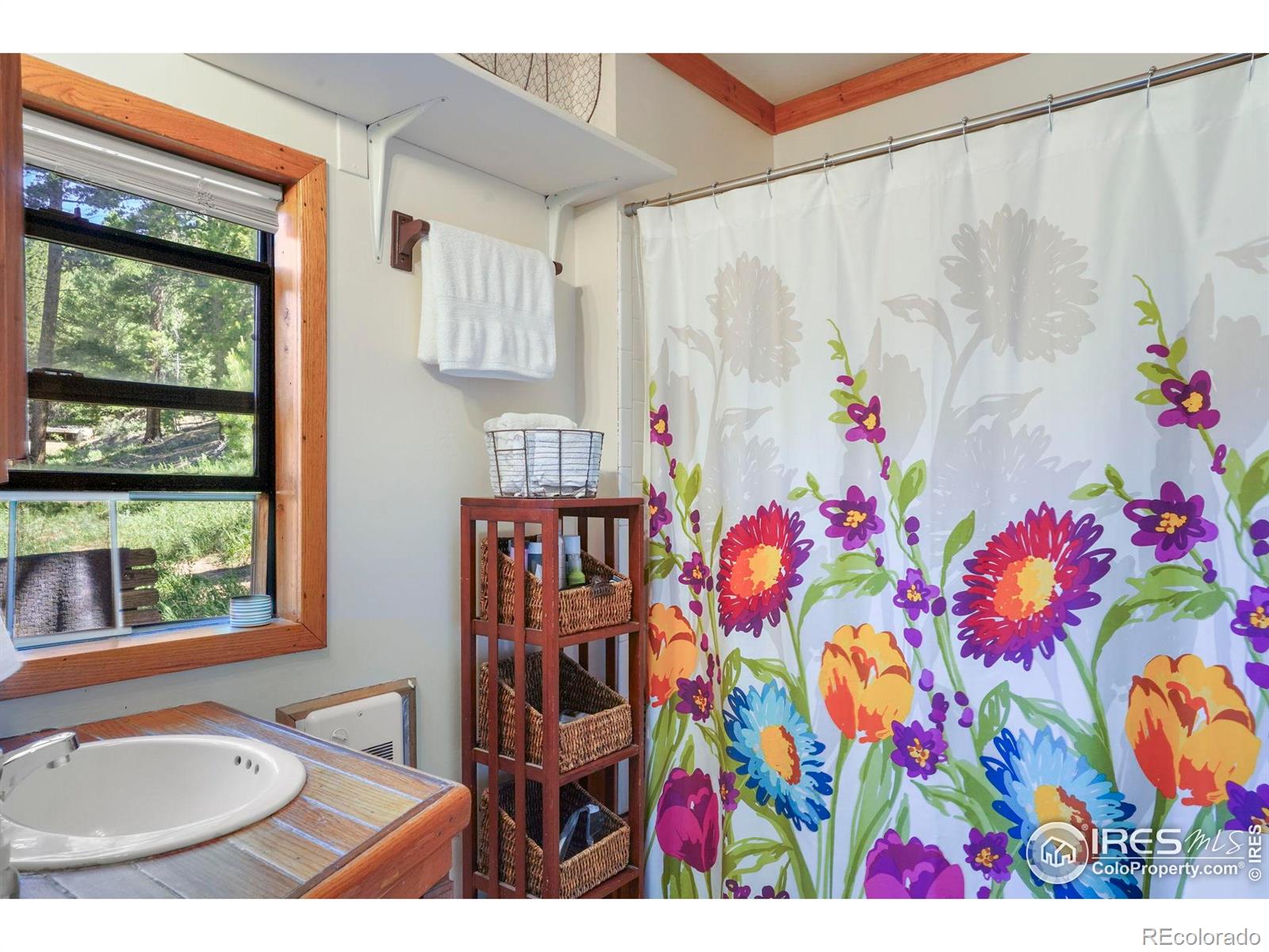 MLS Image #13 for 1410  caribou road,nederland, Colorado