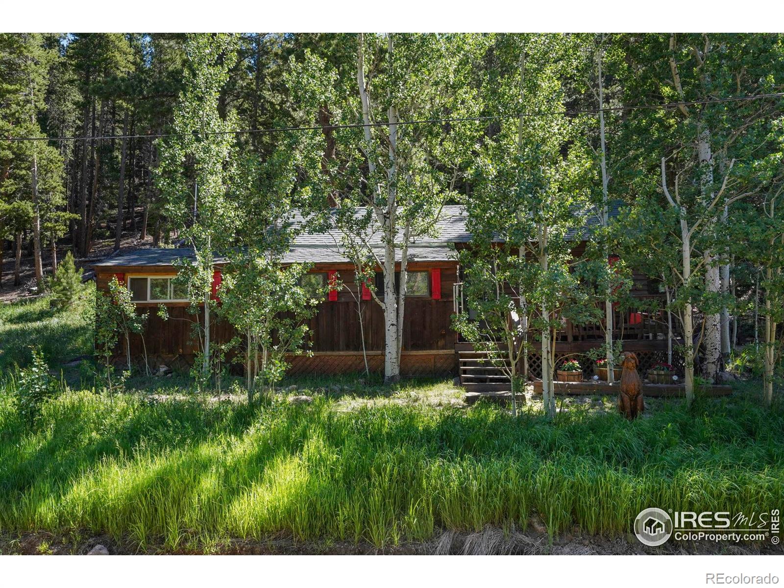 MLS Image #17 for 1410  caribou road,nederland, Colorado