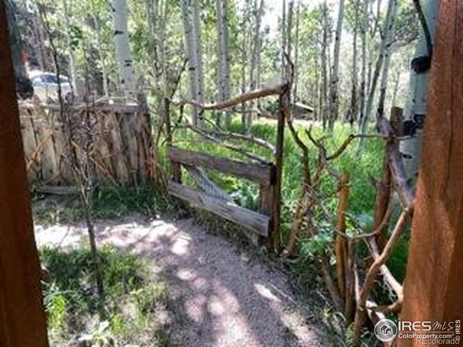 MLS Image #19 for 1410  caribou road,nederland, Colorado