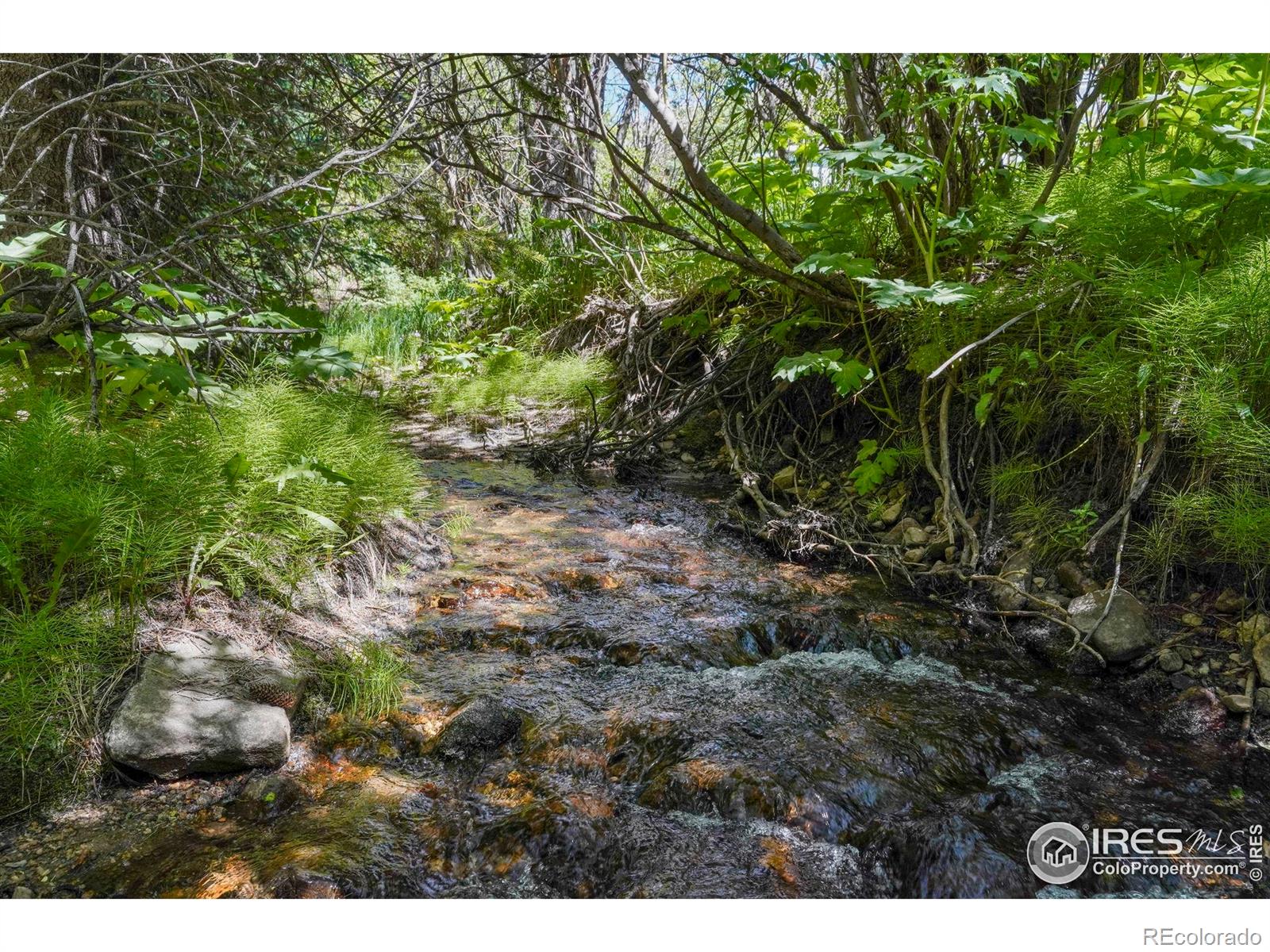 MLS Image #2 for 1410  caribou road,nederland, Colorado