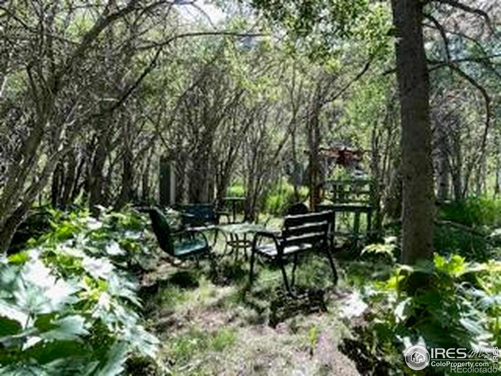 MLS Image #21 for 1410  caribou road,nederland, Colorado