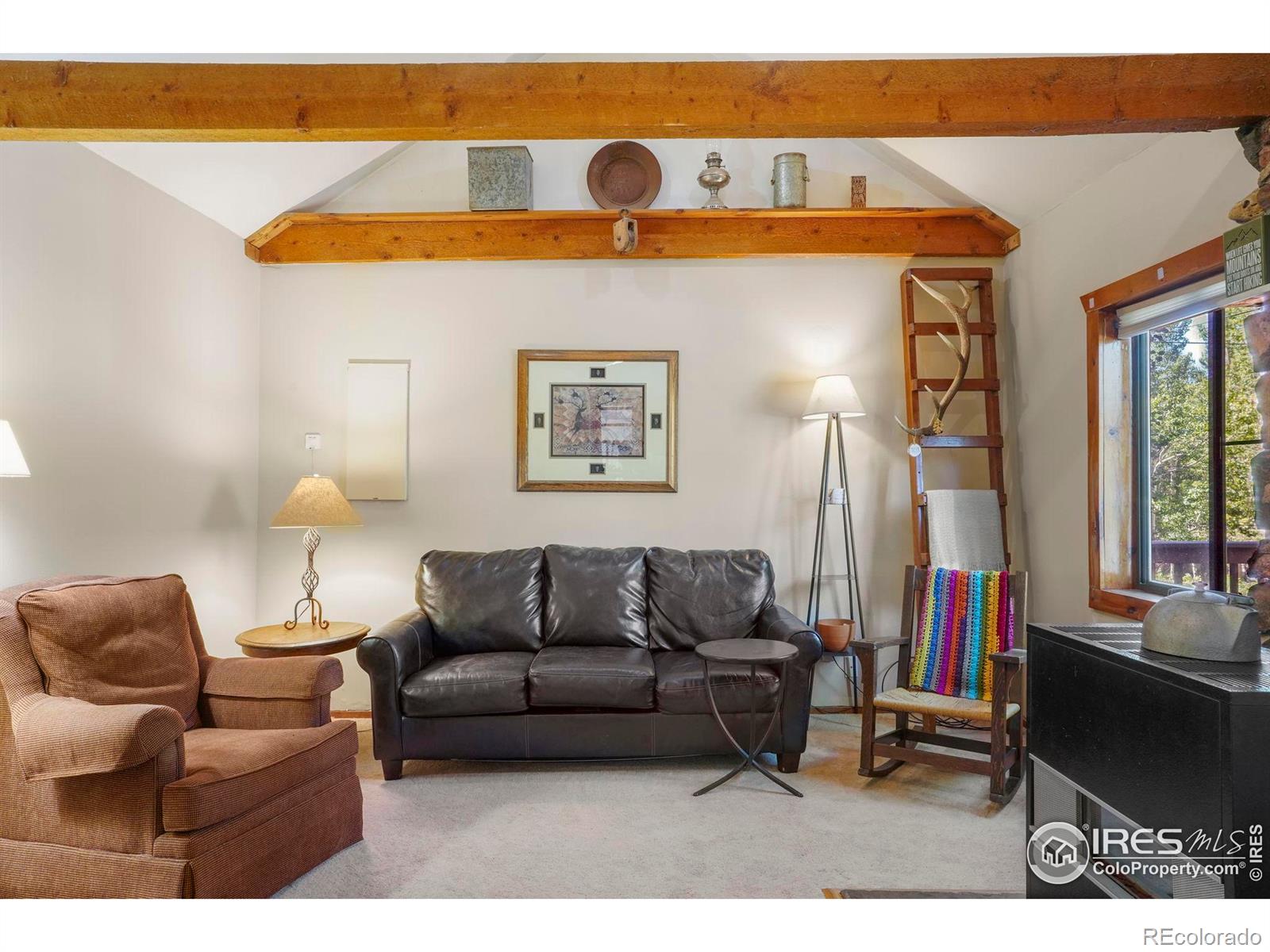 MLS Image #5 for 1410  caribou road,nederland, Colorado