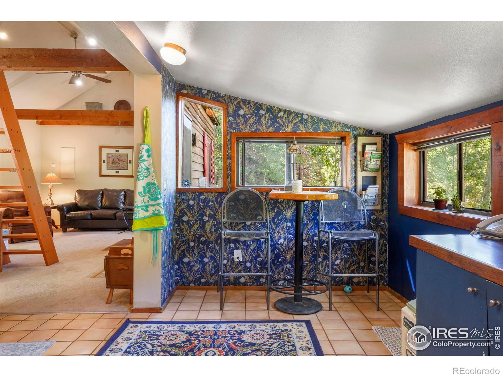 MLS Image #6 for 1410  caribou road,nederland, Colorado