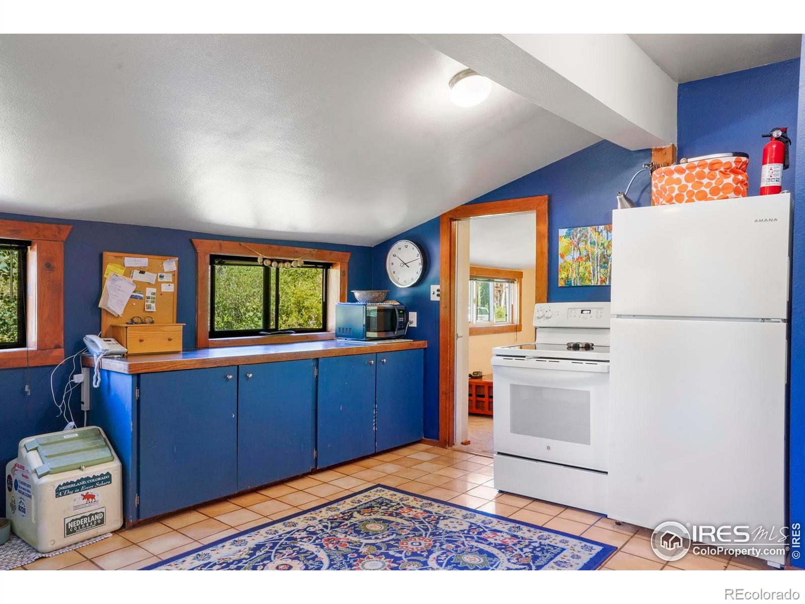 MLS Image #7 for 1410  caribou road,nederland, Colorado