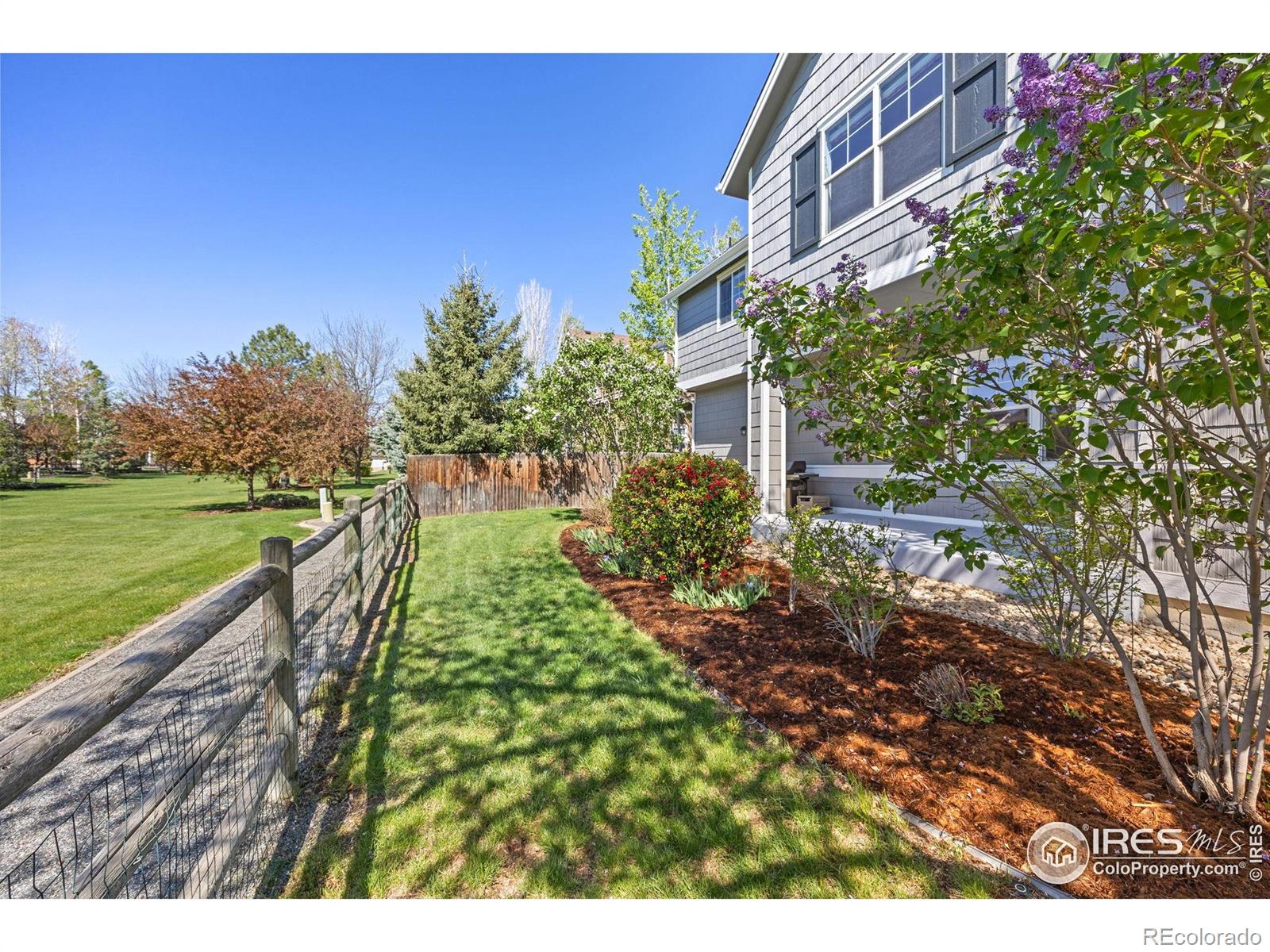 MLS Image #33 for 4119  riley drive,longmont, Colorado