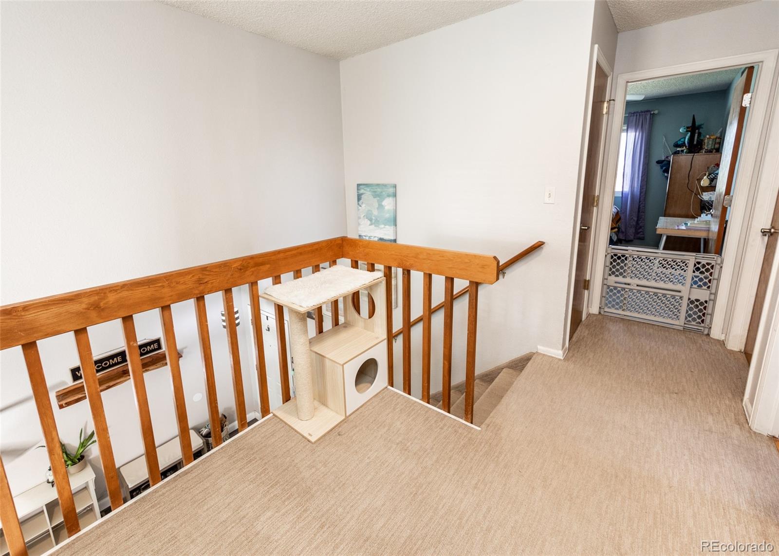 MLS Image #22 for 4790  witches hollow lane,colorado springs, Colorado
