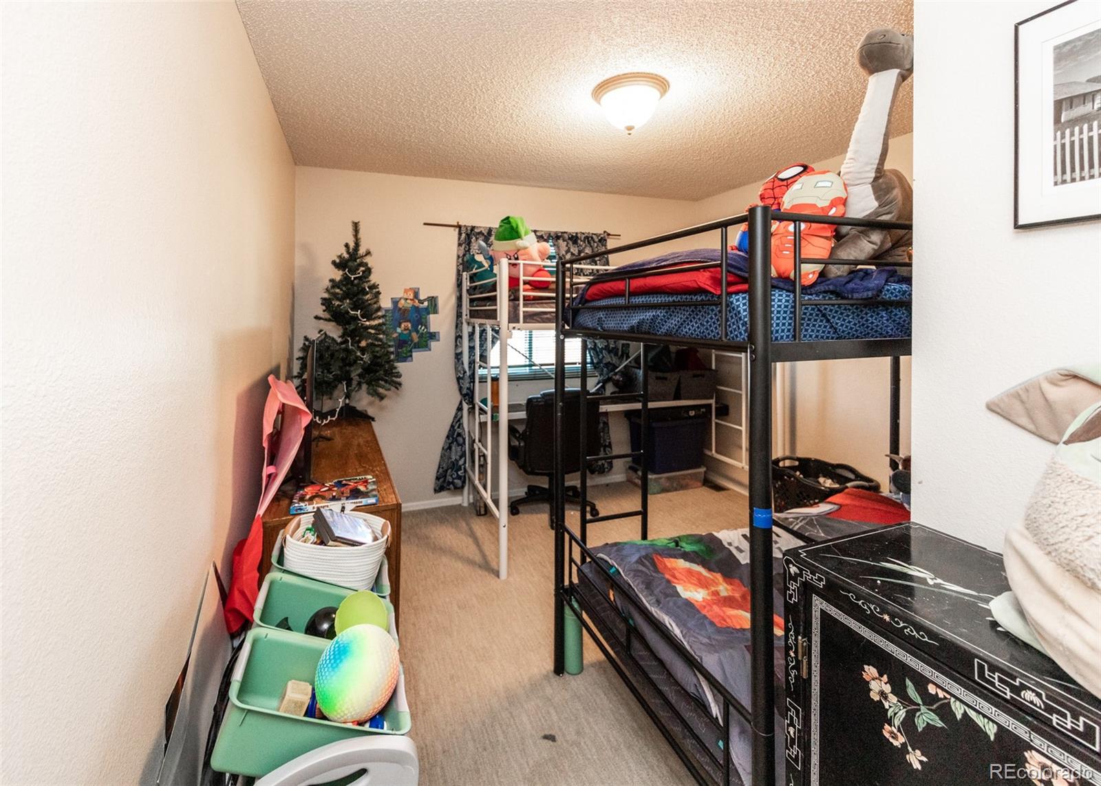 MLS Image #23 for 4790  witches hollow lane,colorado springs, Colorado