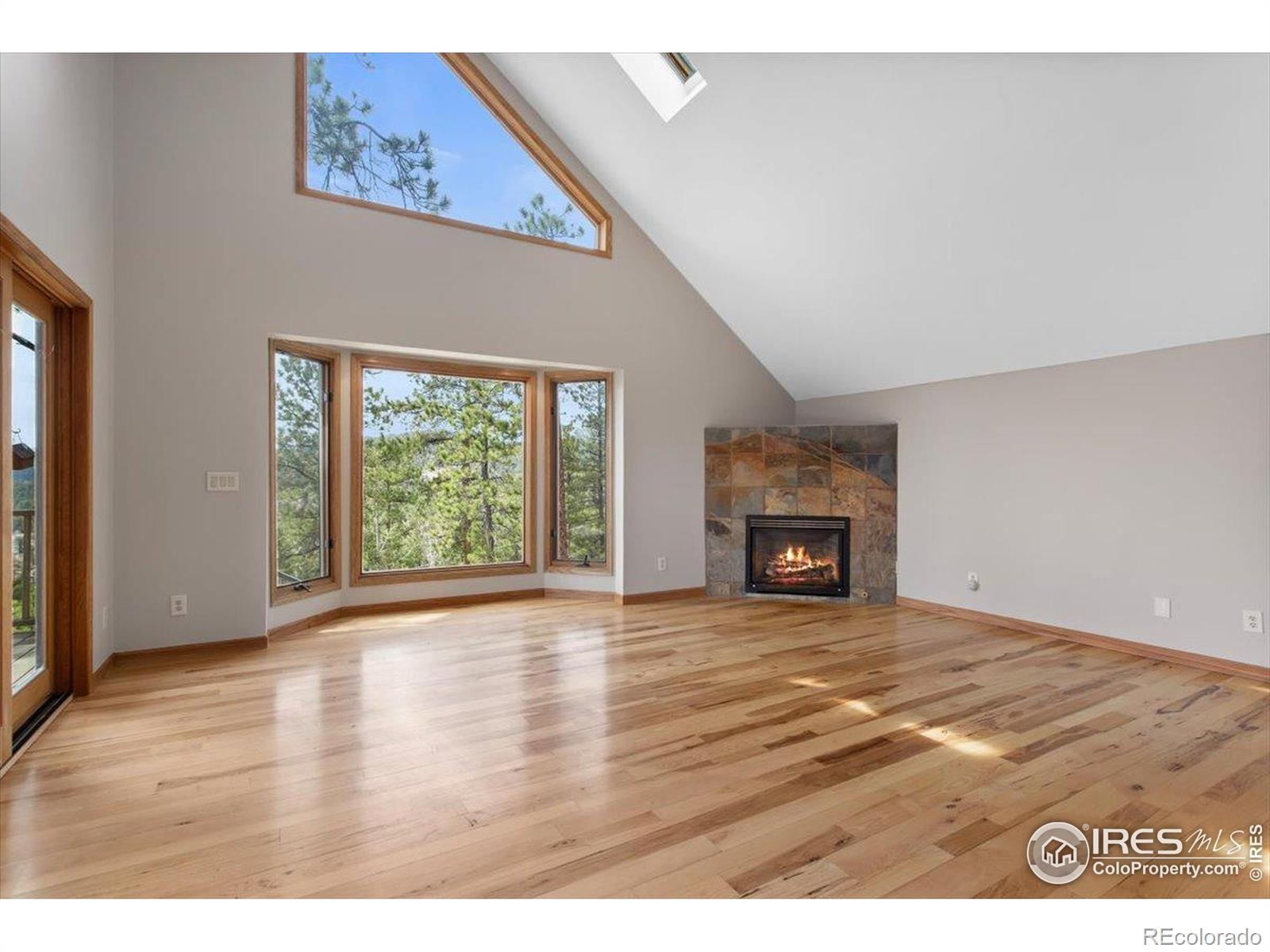 MLS Image #9 for 13660  rampart drive,conifer, Colorado