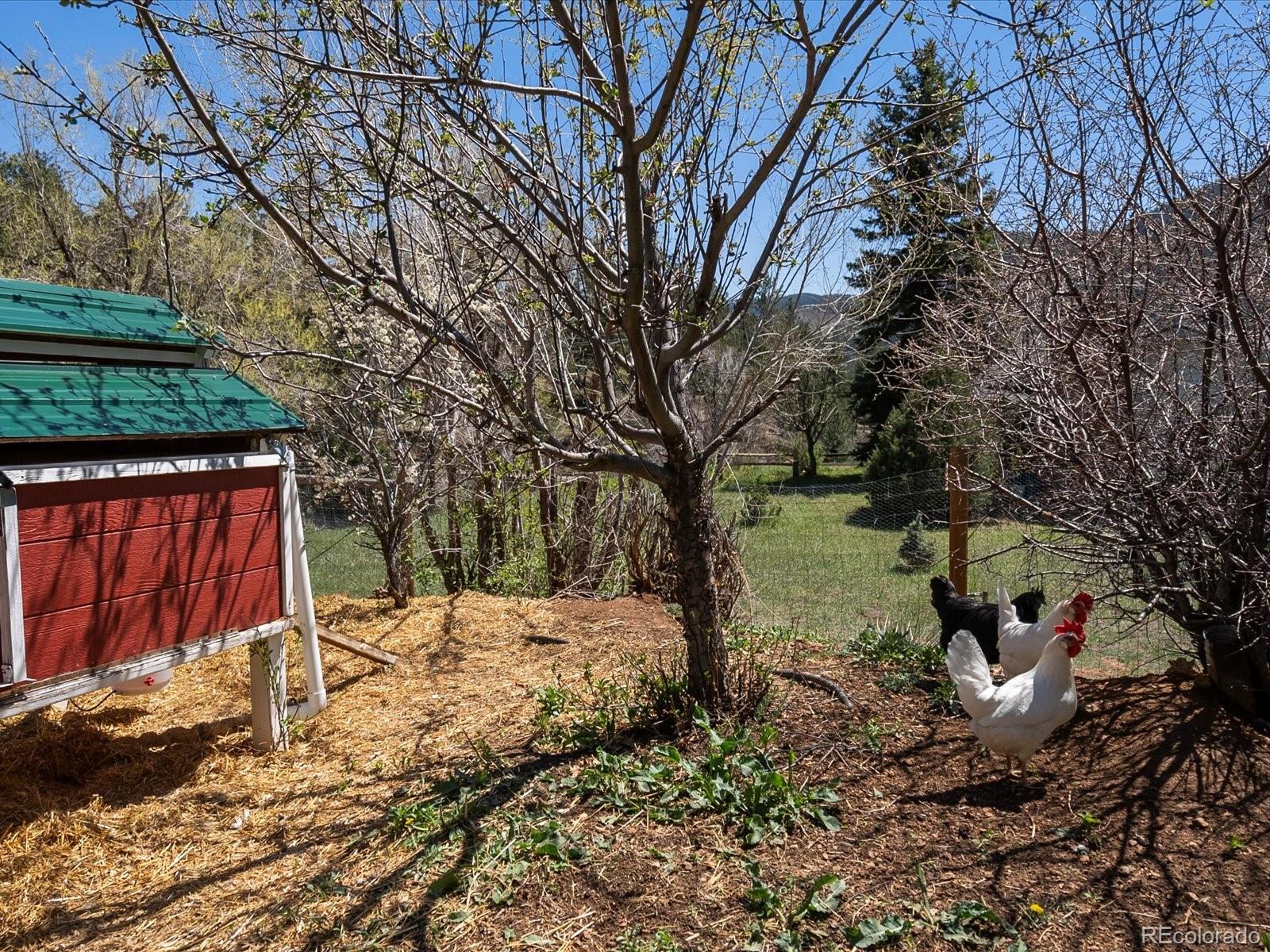 MLS Image #38 for 2571 sw grapevine road,idledale, Colorado