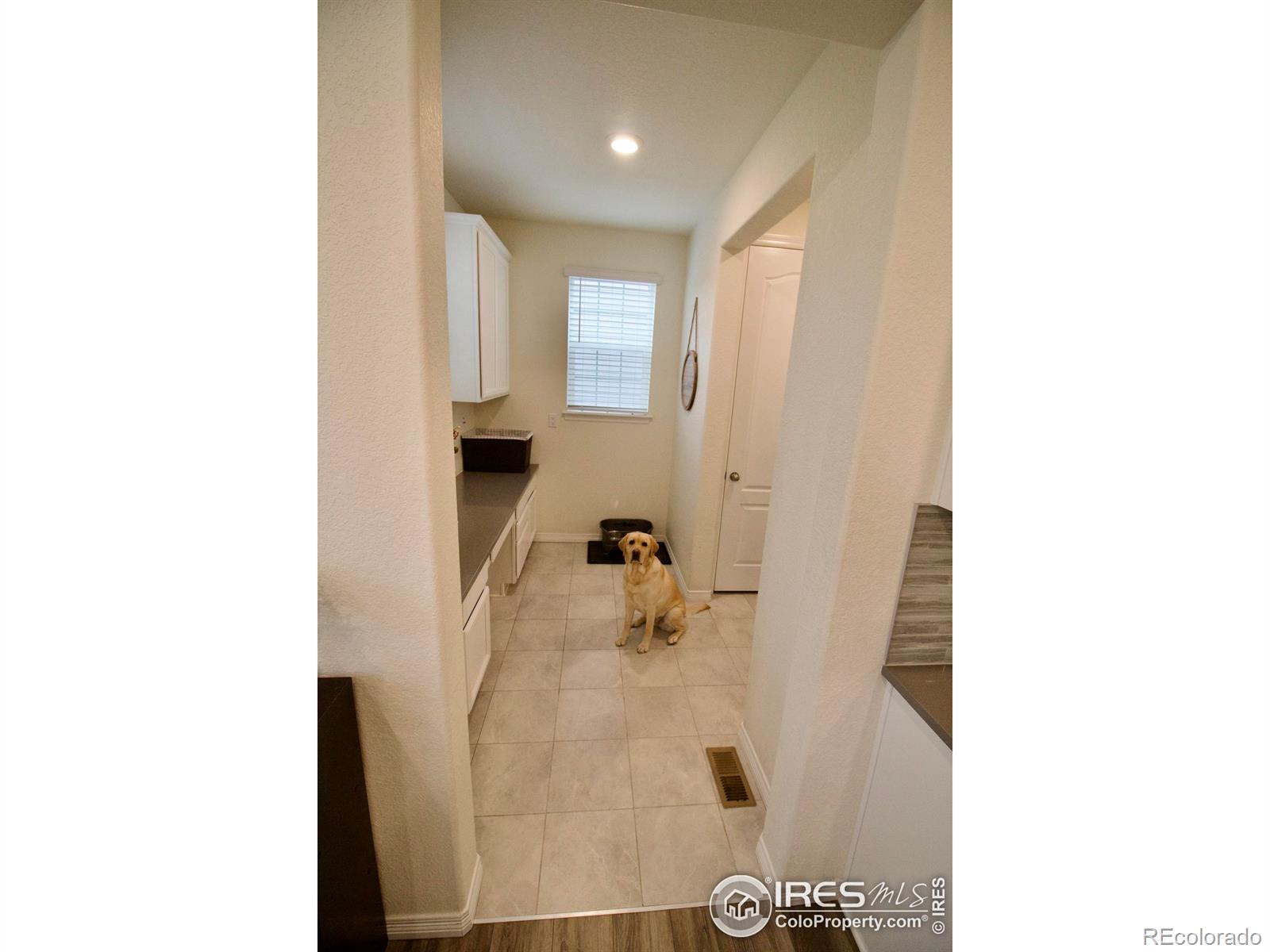 MLS Image #15 for 16341  clayton street,thornton, Colorado