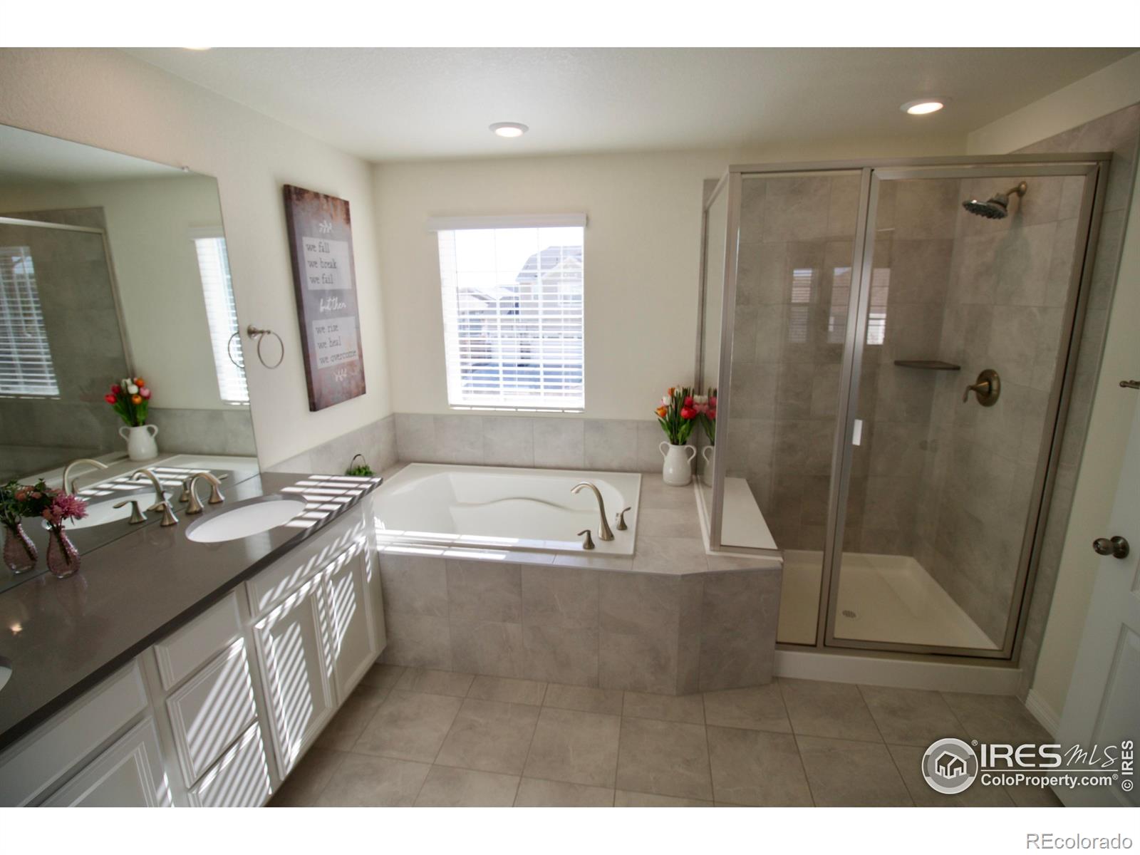 MLS Image #19 for 16341  clayton street,thornton, Colorado