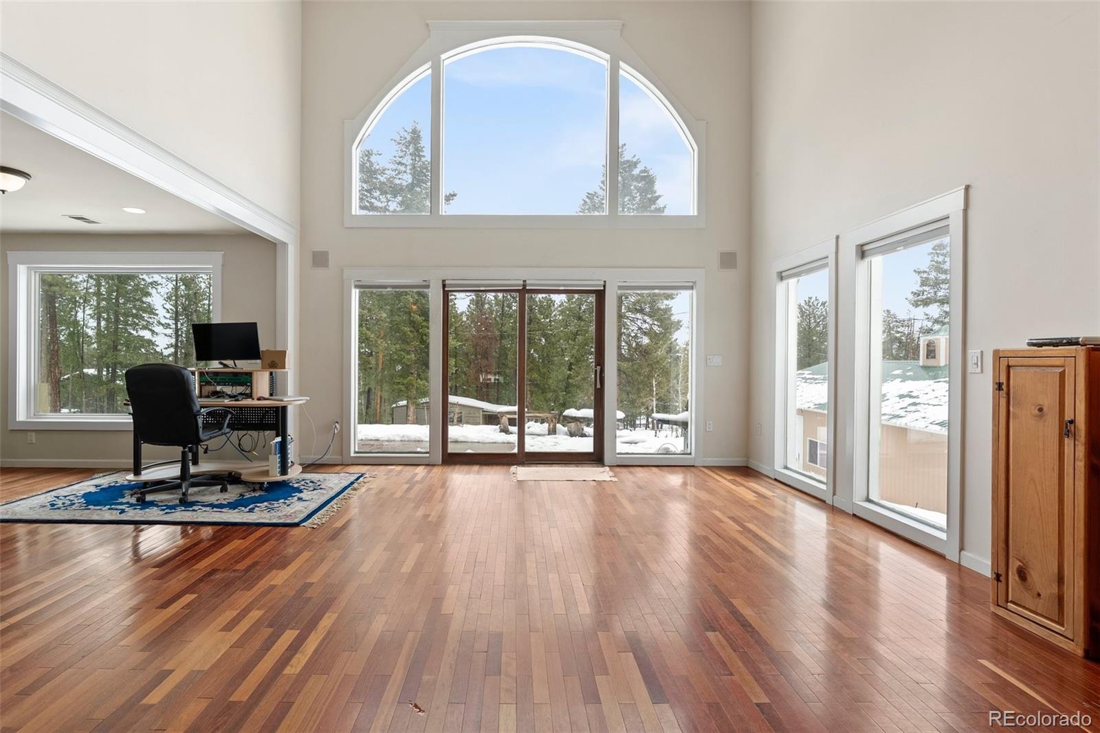 MLS Image #3 for 27987  pine grove trail,conifer, Colorado