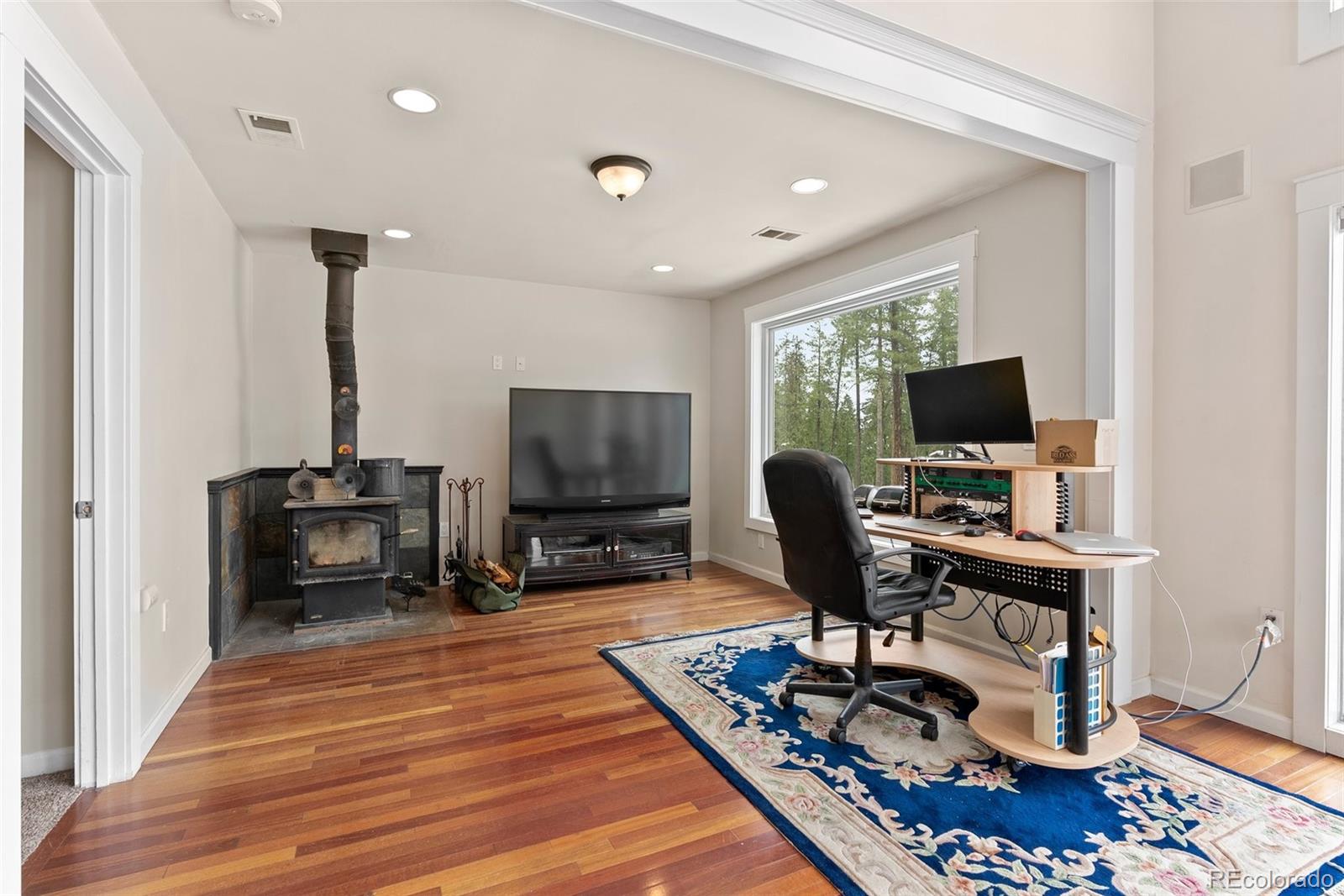 MLS Image #8 for 27987  pine grove trail,conifer, Colorado