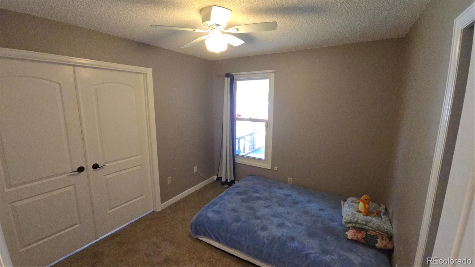 MLS Image #13 for 4543  cathay street,denver, Colorado