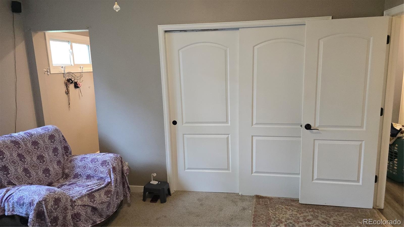 MLS Image #21 for 4543  cathay street,denver, Colorado