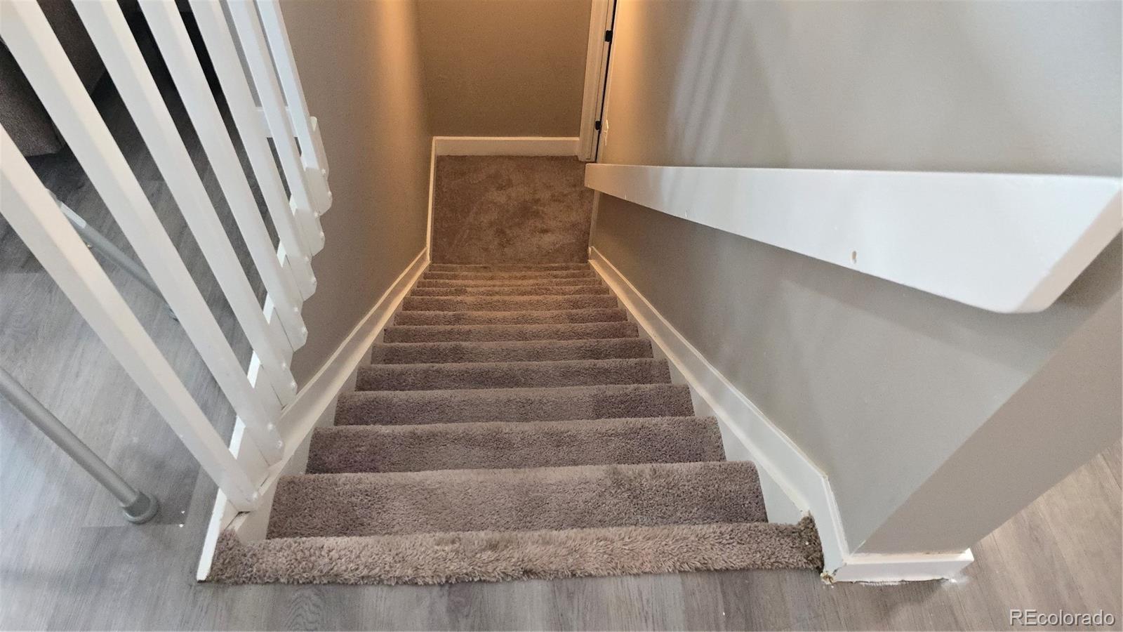 MLS Image #22 for 4543  cathay street,denver, Colorado