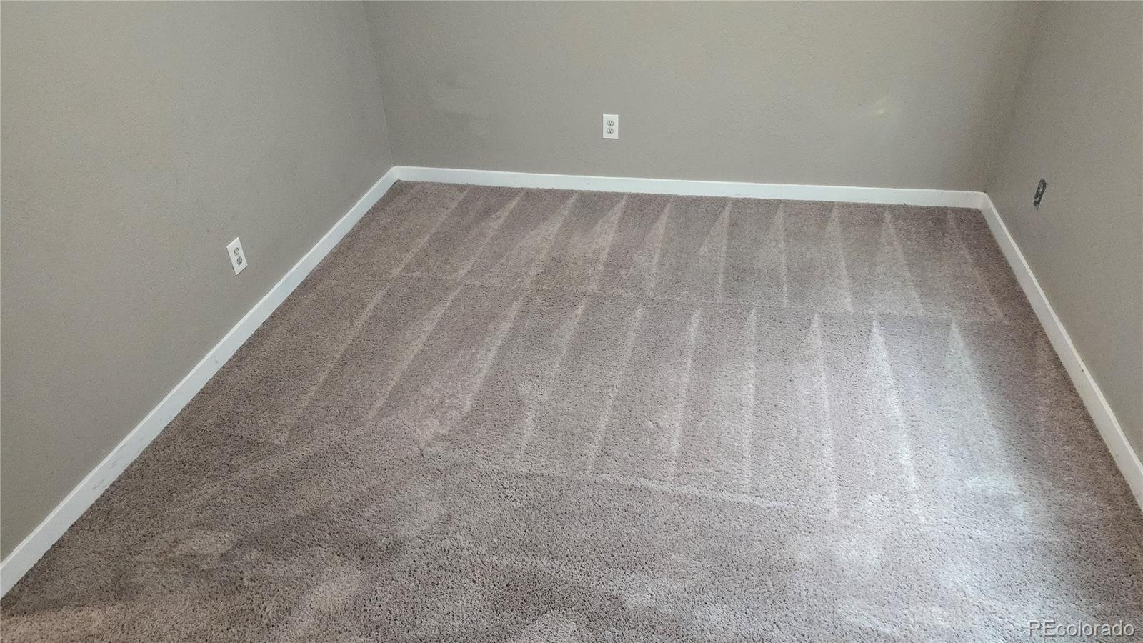 MLS Image #24 for 4543  cathay street,denver, Colorado