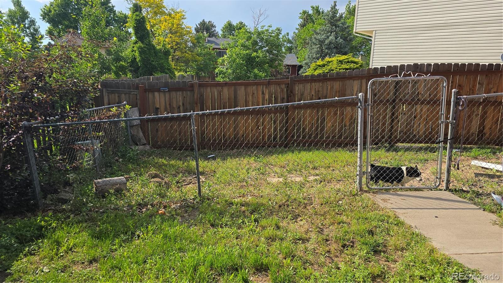 MLS Image #31 for 4543  cathay street,denver, Colorado