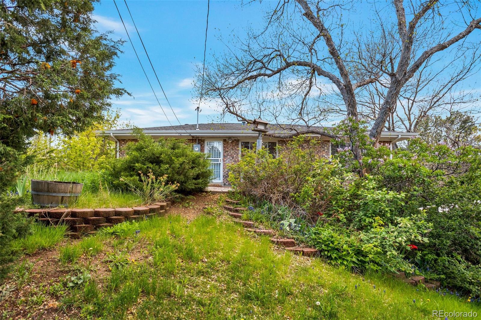 MLS Image #14 for 2015  arapahoe street,golden, Colorado