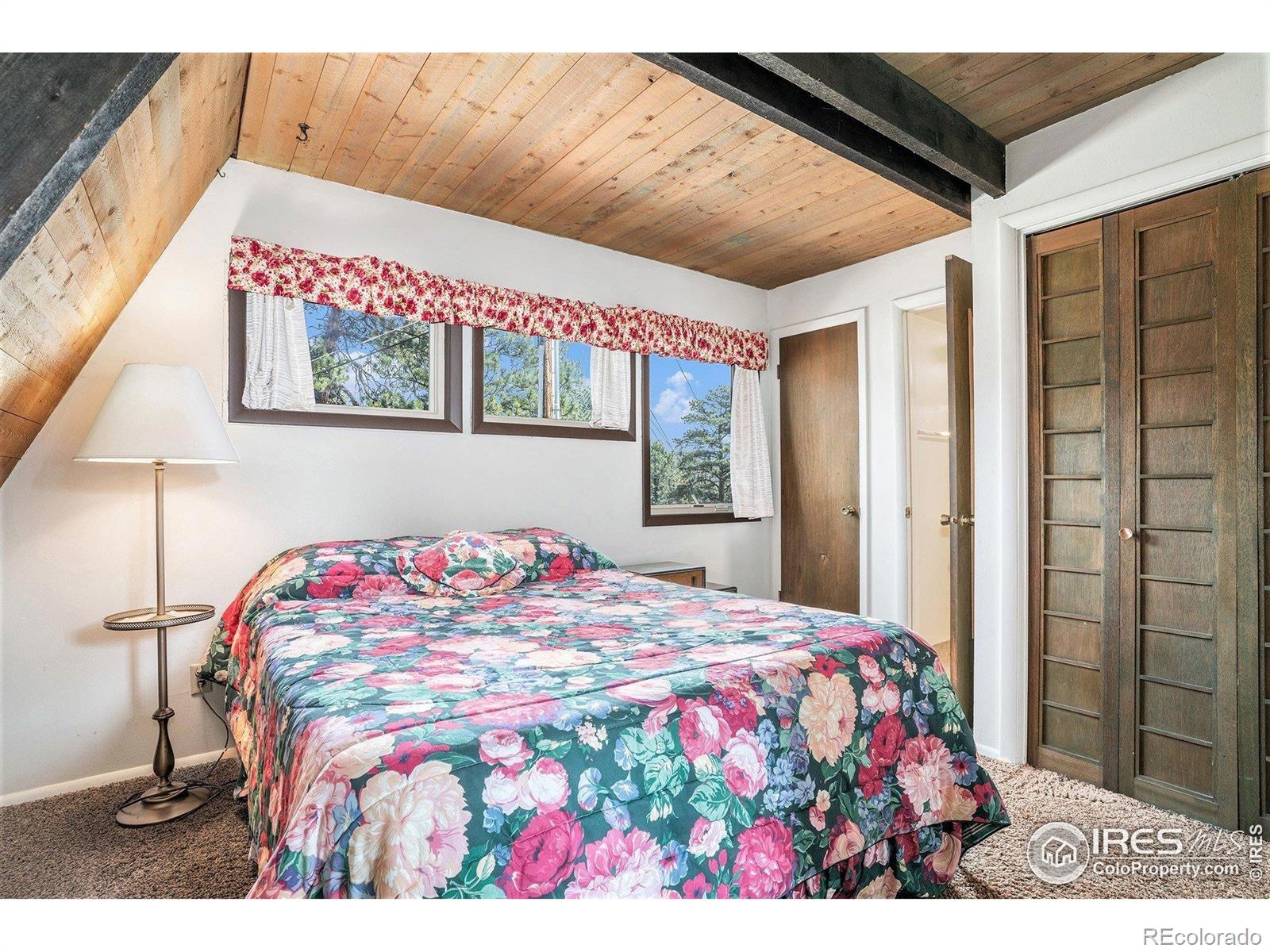 MLS Image #17 for 1061  tranquil lane,estes park, Colorado