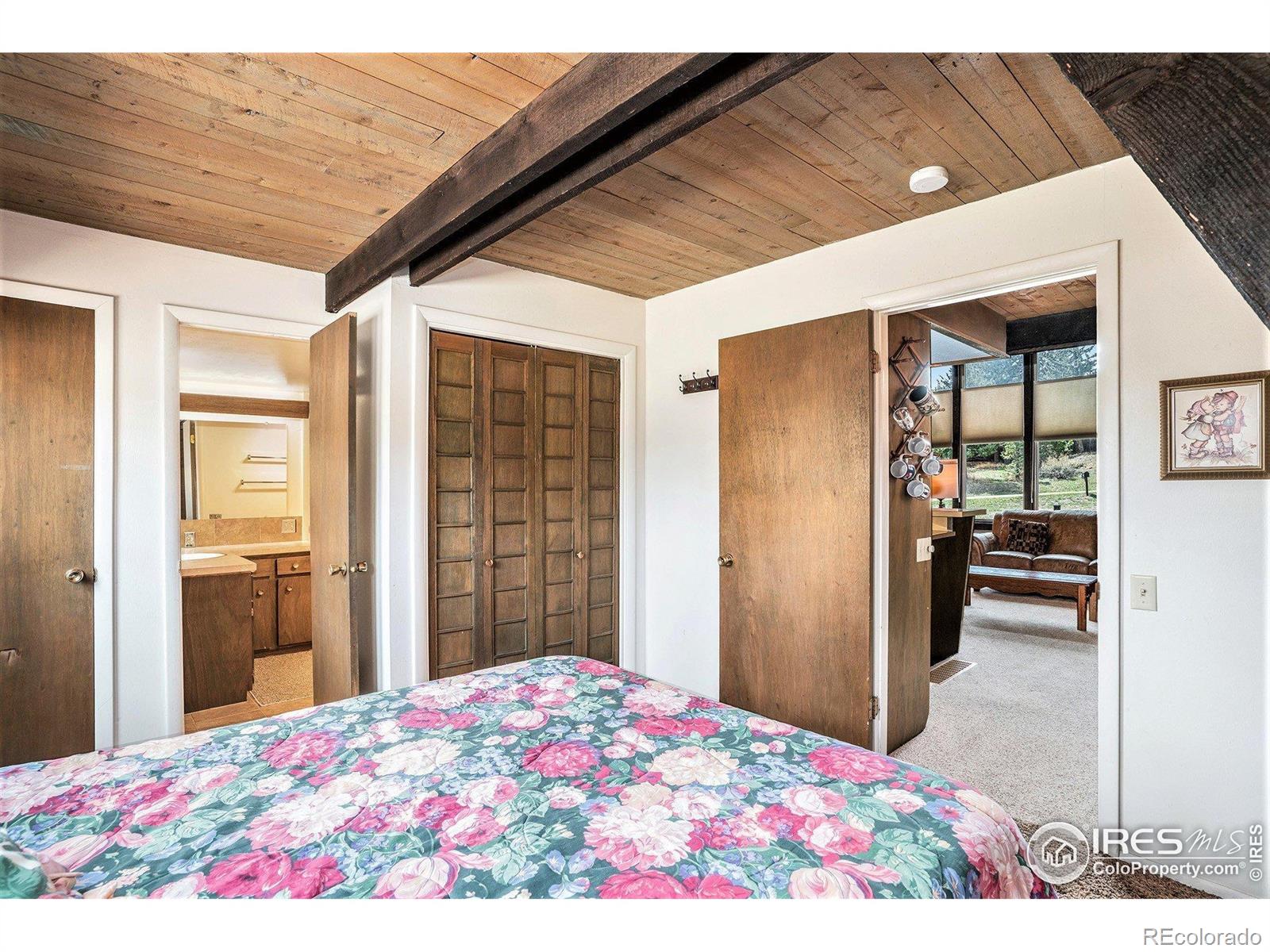 MLS Image #23 for 1061  tranquil lane,estes park, Colorado