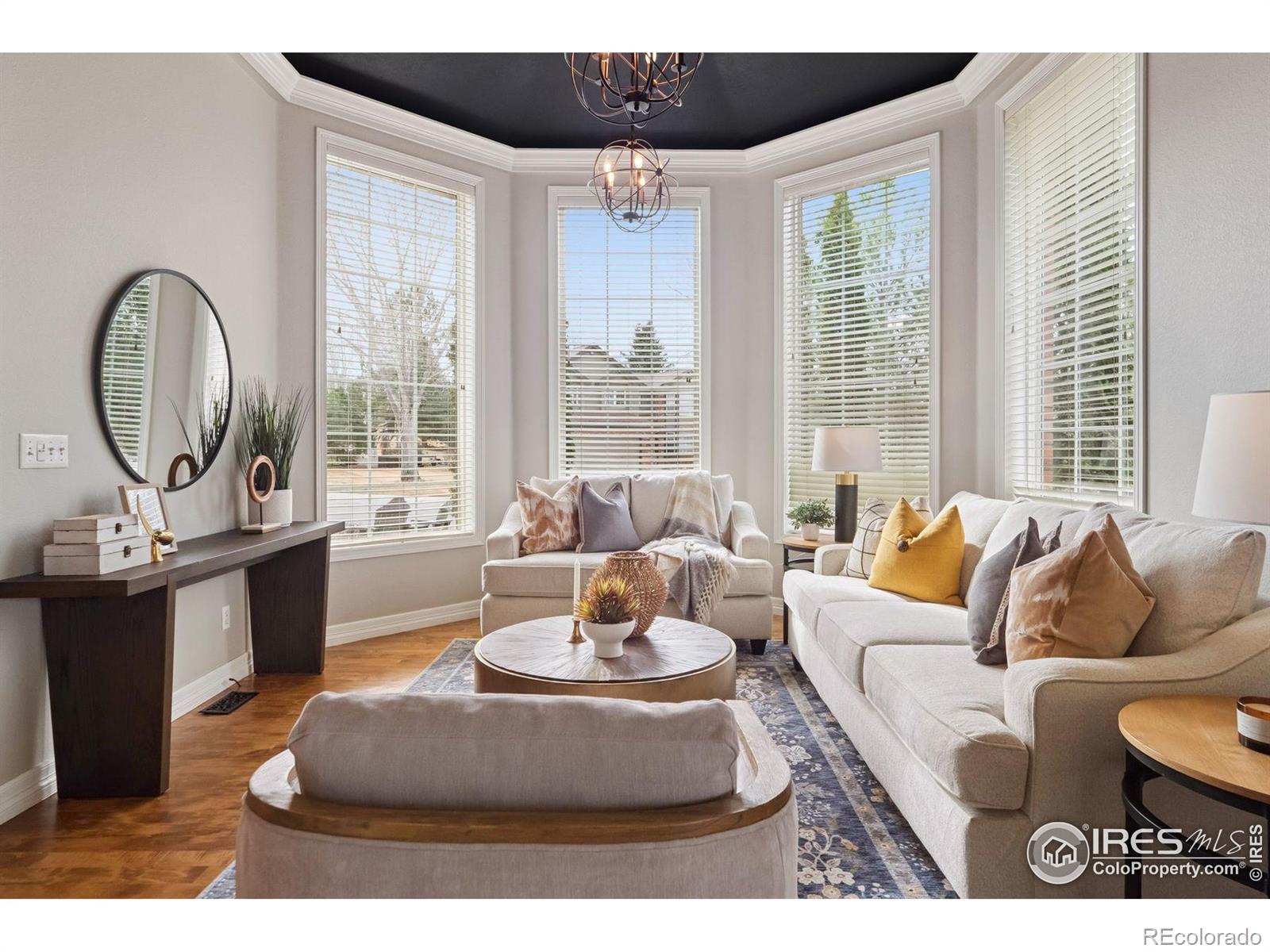 MLS Image #17 for 7270  irwin court,fort collins, Colorado
